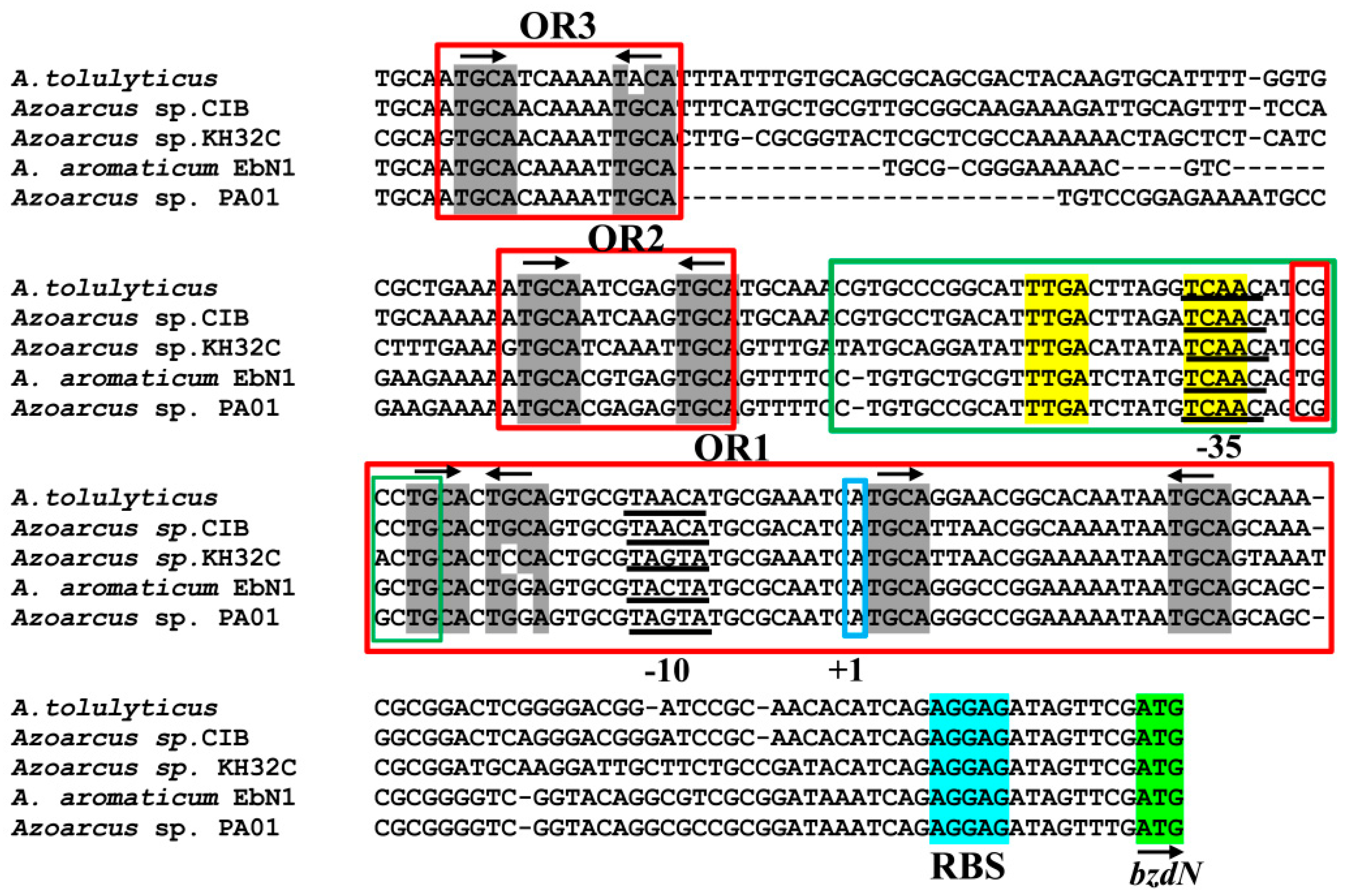 Genes 10 00489 g002 Genes 10 00489 g002