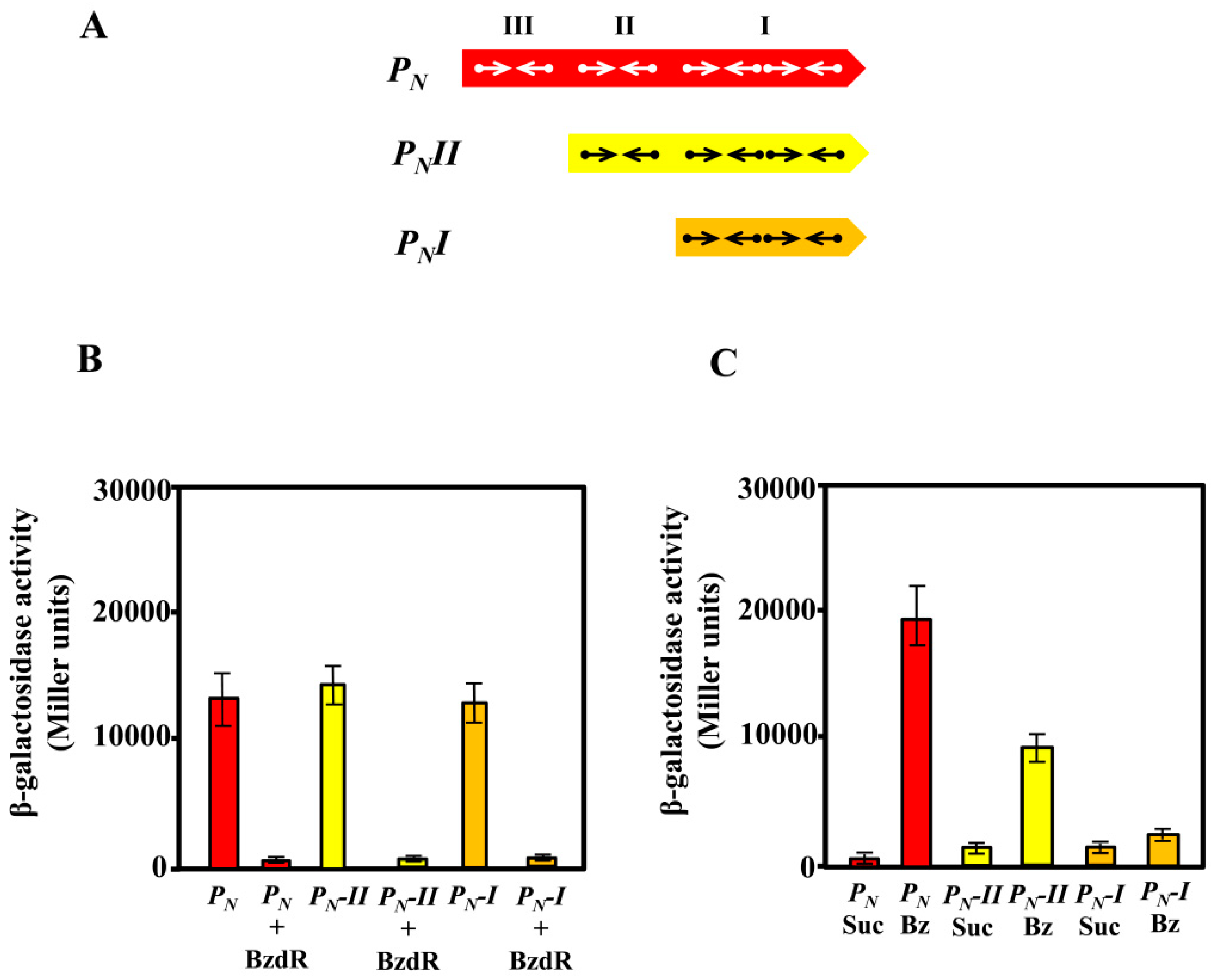 Genes 10 00489 g003 Genes 10 00489 g003