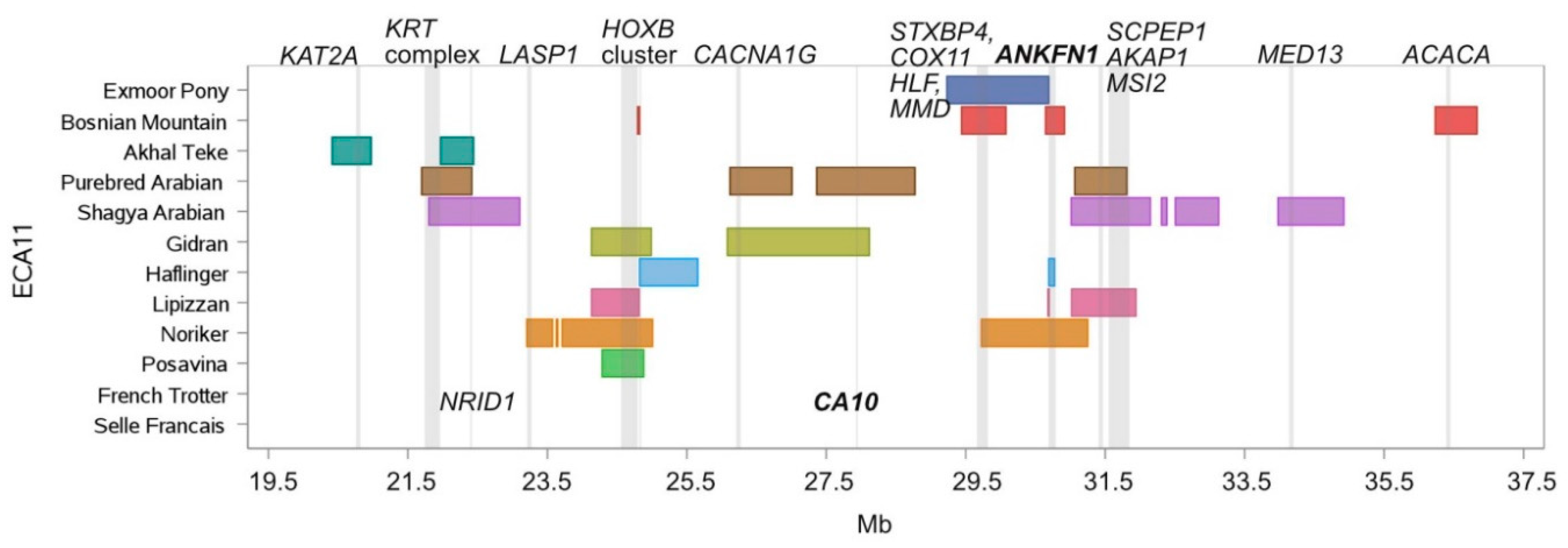Genes 10 00491 g003 Genes 10 00491 g003