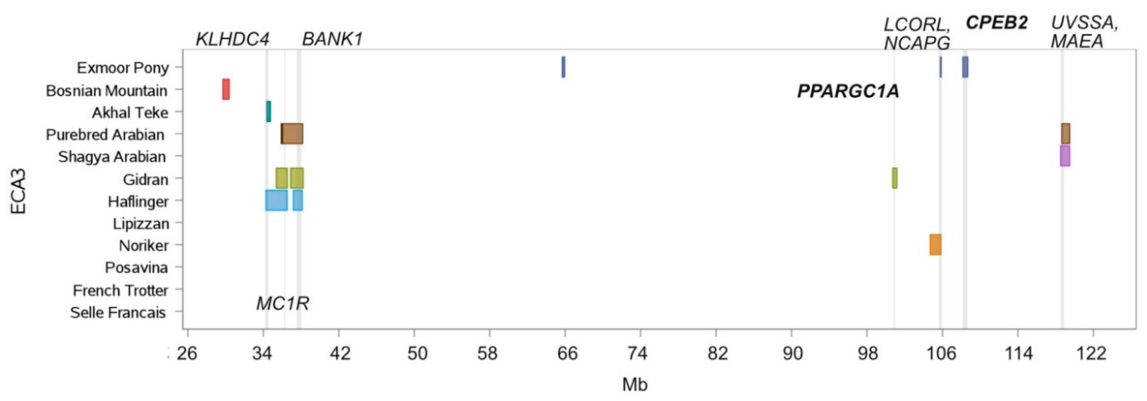 Genes 10 00491 g004 Genes 10 00491 g004