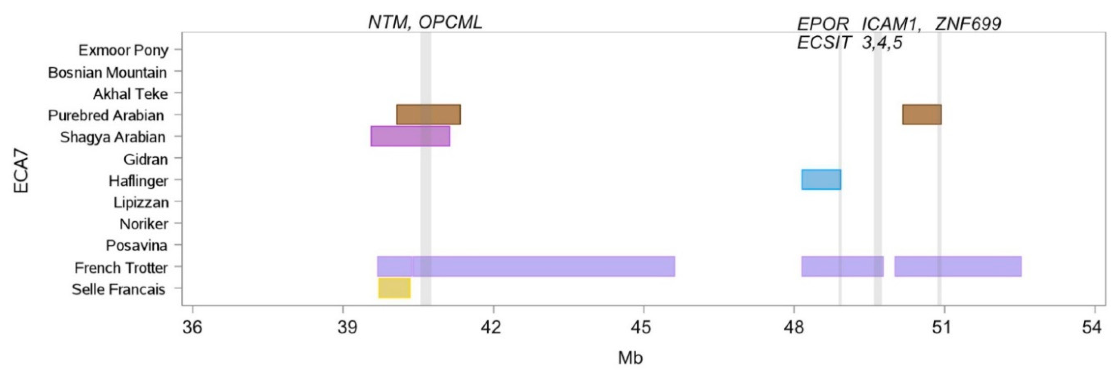 Genes 10 00491 g005 Genes 10 00491 g005