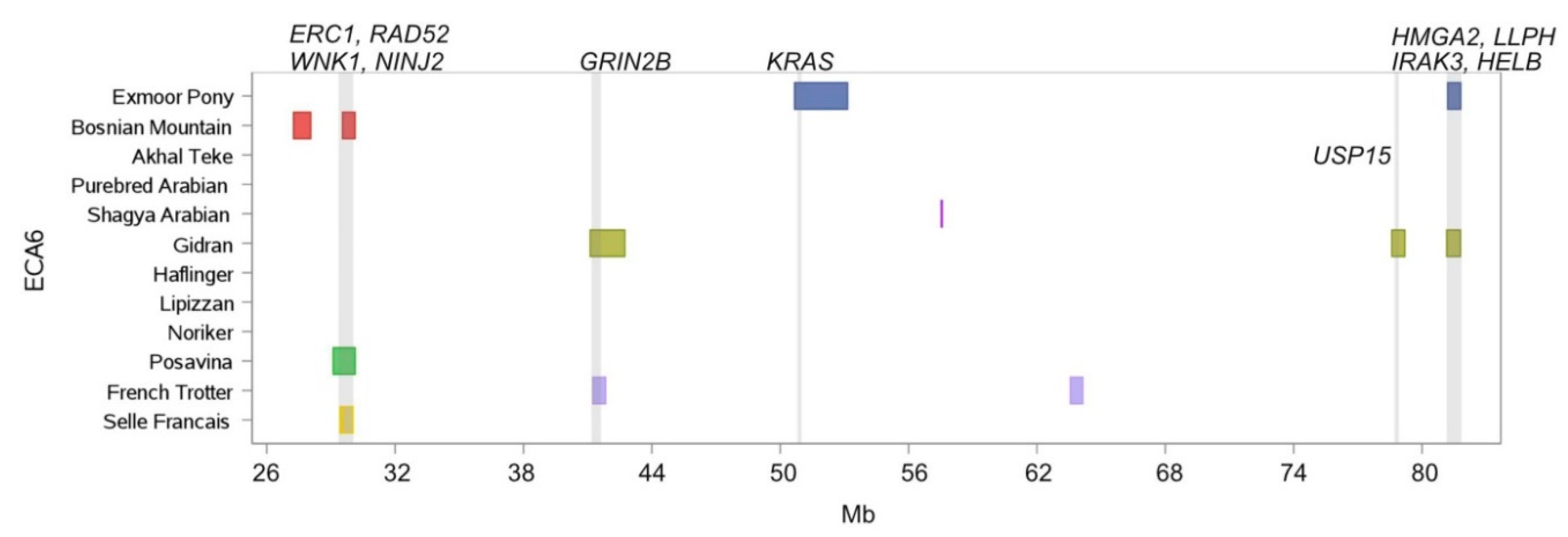 Genes 10 00491 g007 Genes 10 00491 g007