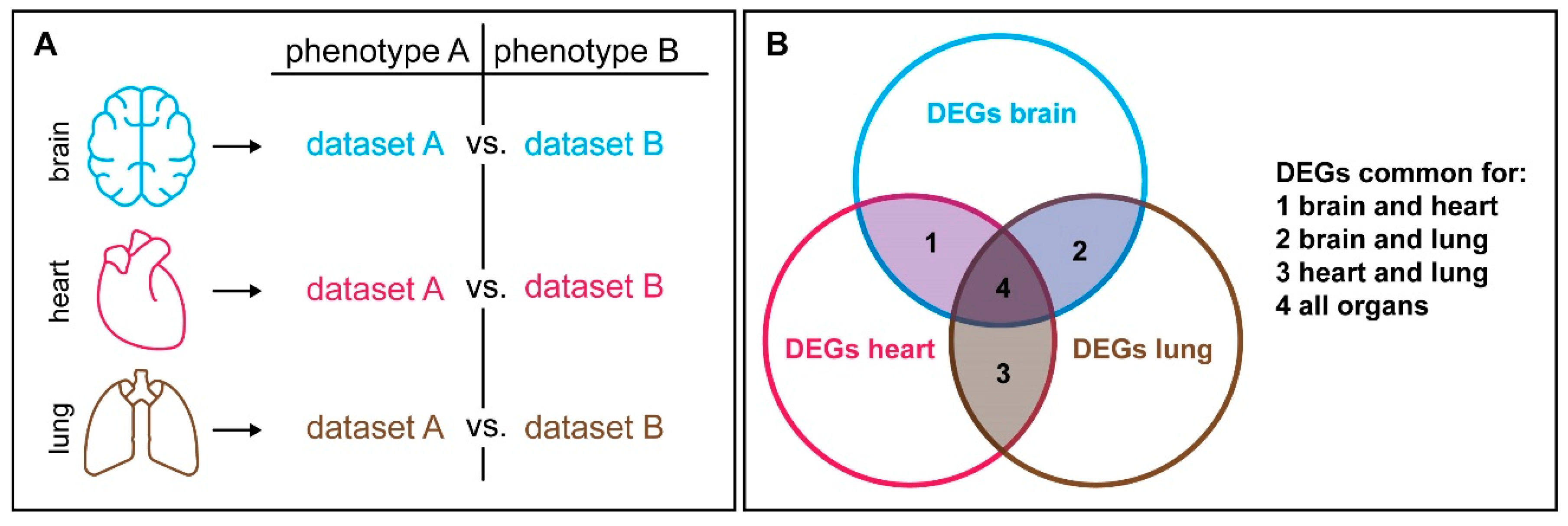 Genes 10 00492 g002