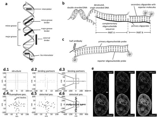 Genes 10 00493 g001