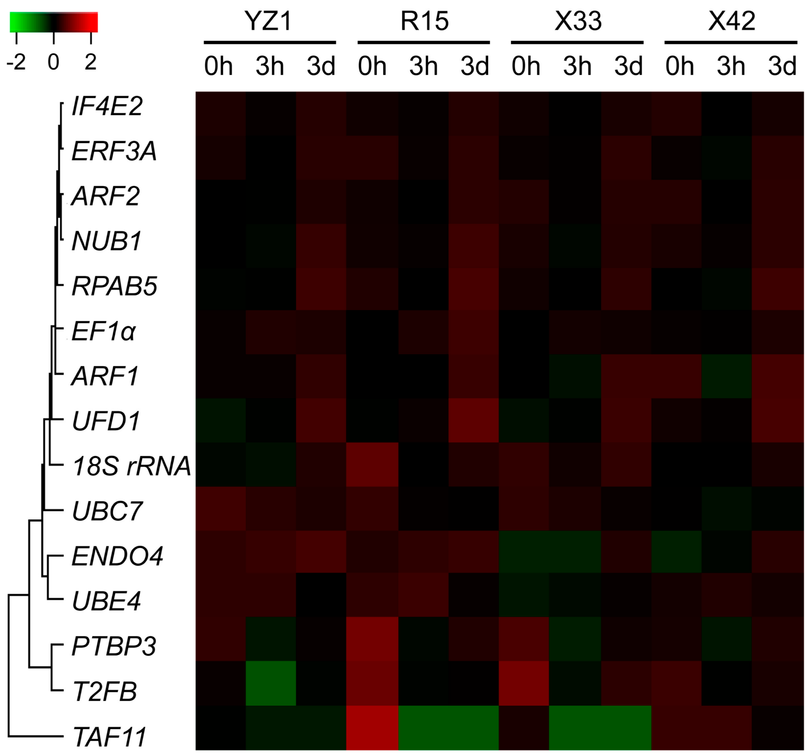Genes 10 00497 g001 Genes 10 00497 g001