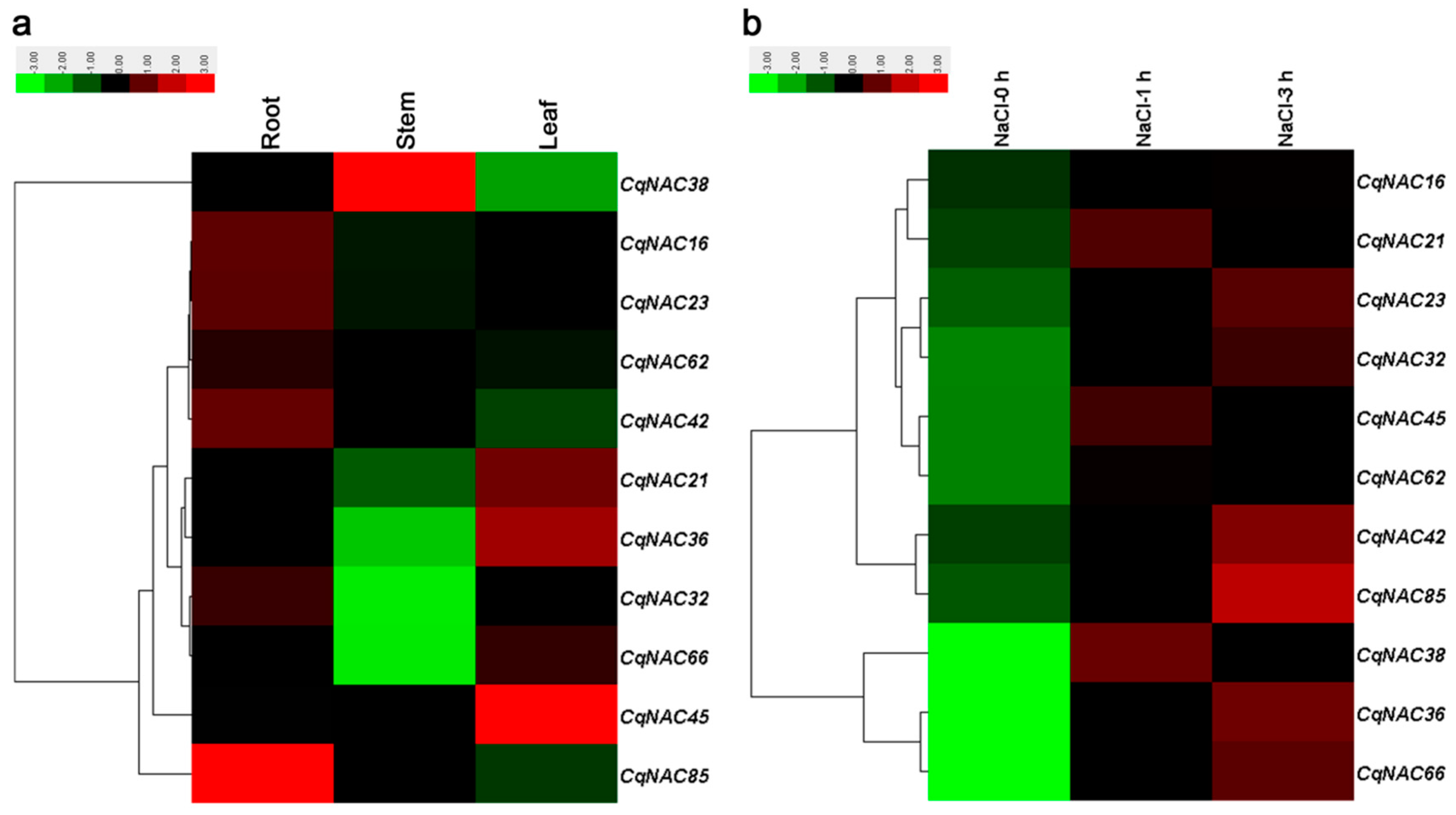 Genes 10 00500 g004