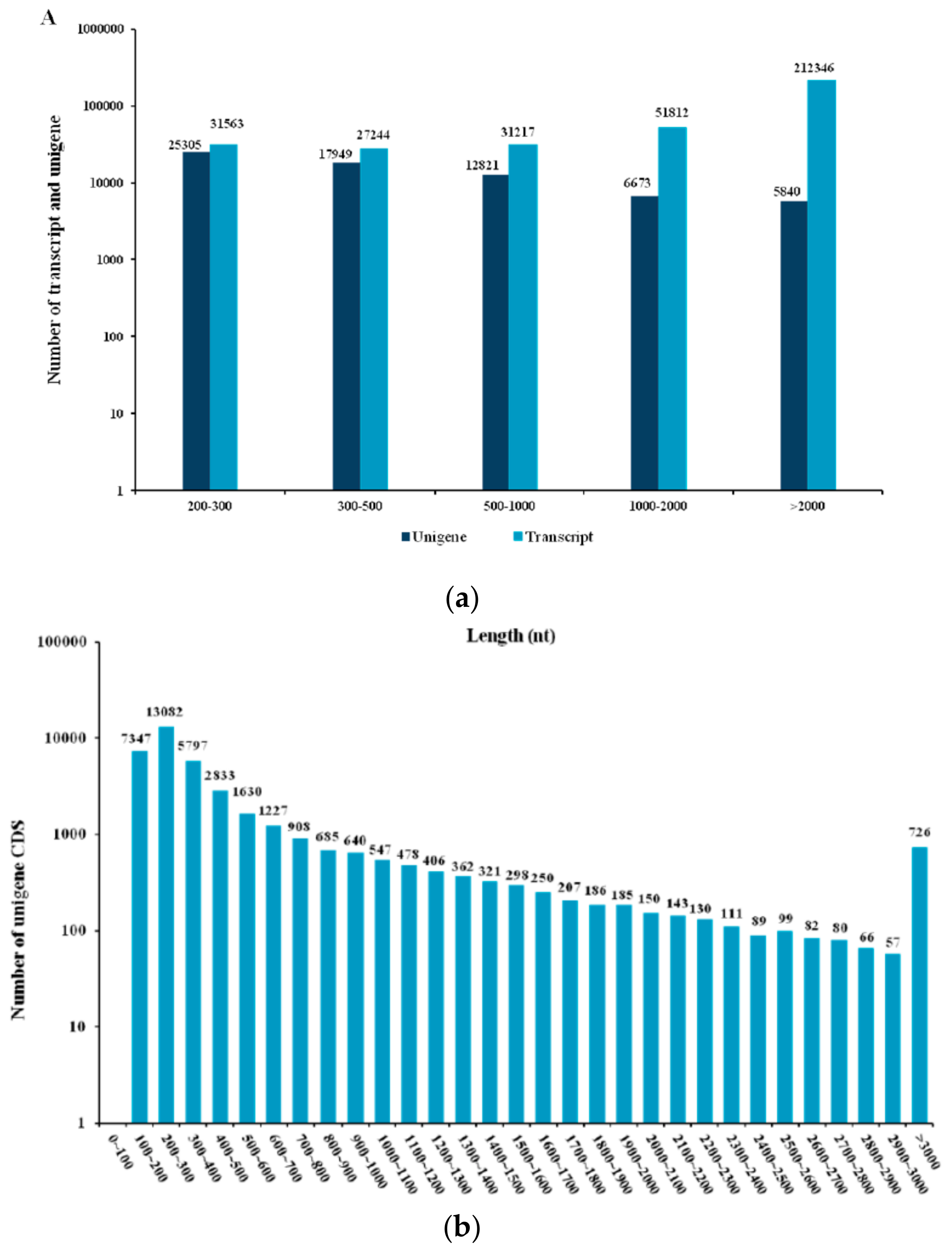 Genes 10 00507 g001