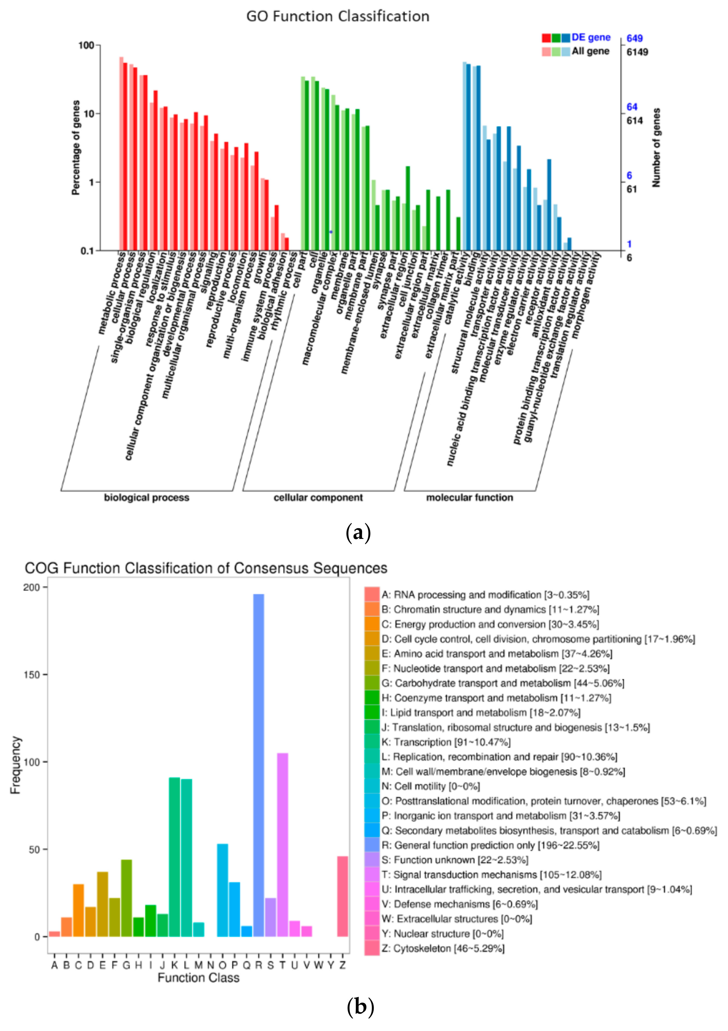 Genes 10 00507 g003