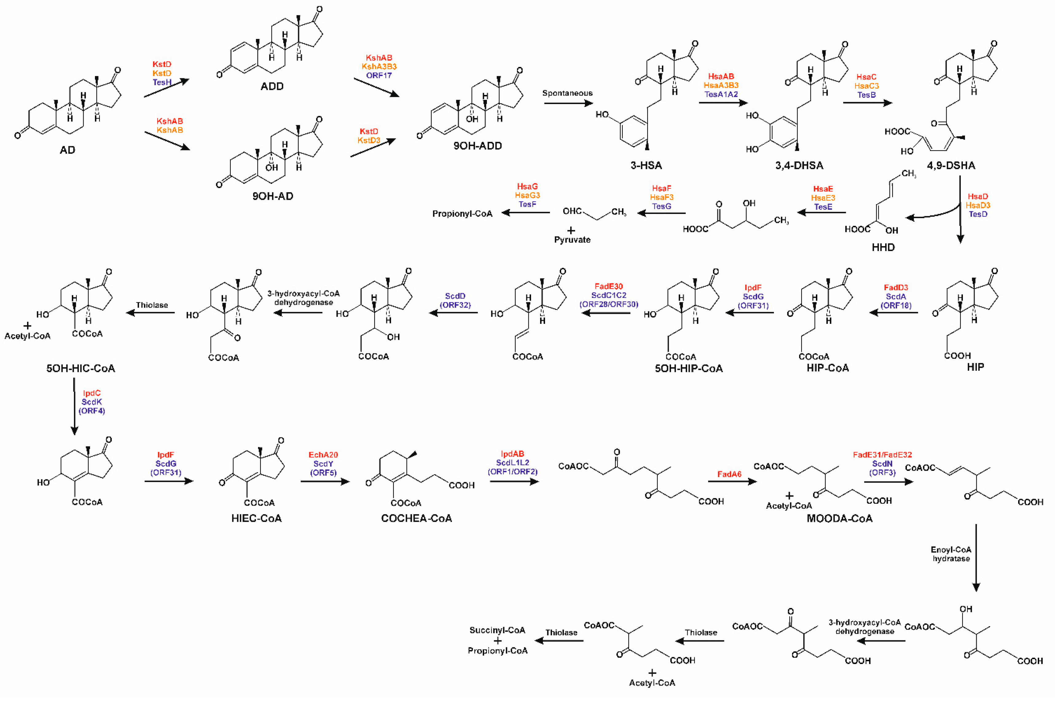 Genes 10 00512 g007 Genes 10 00512 g007