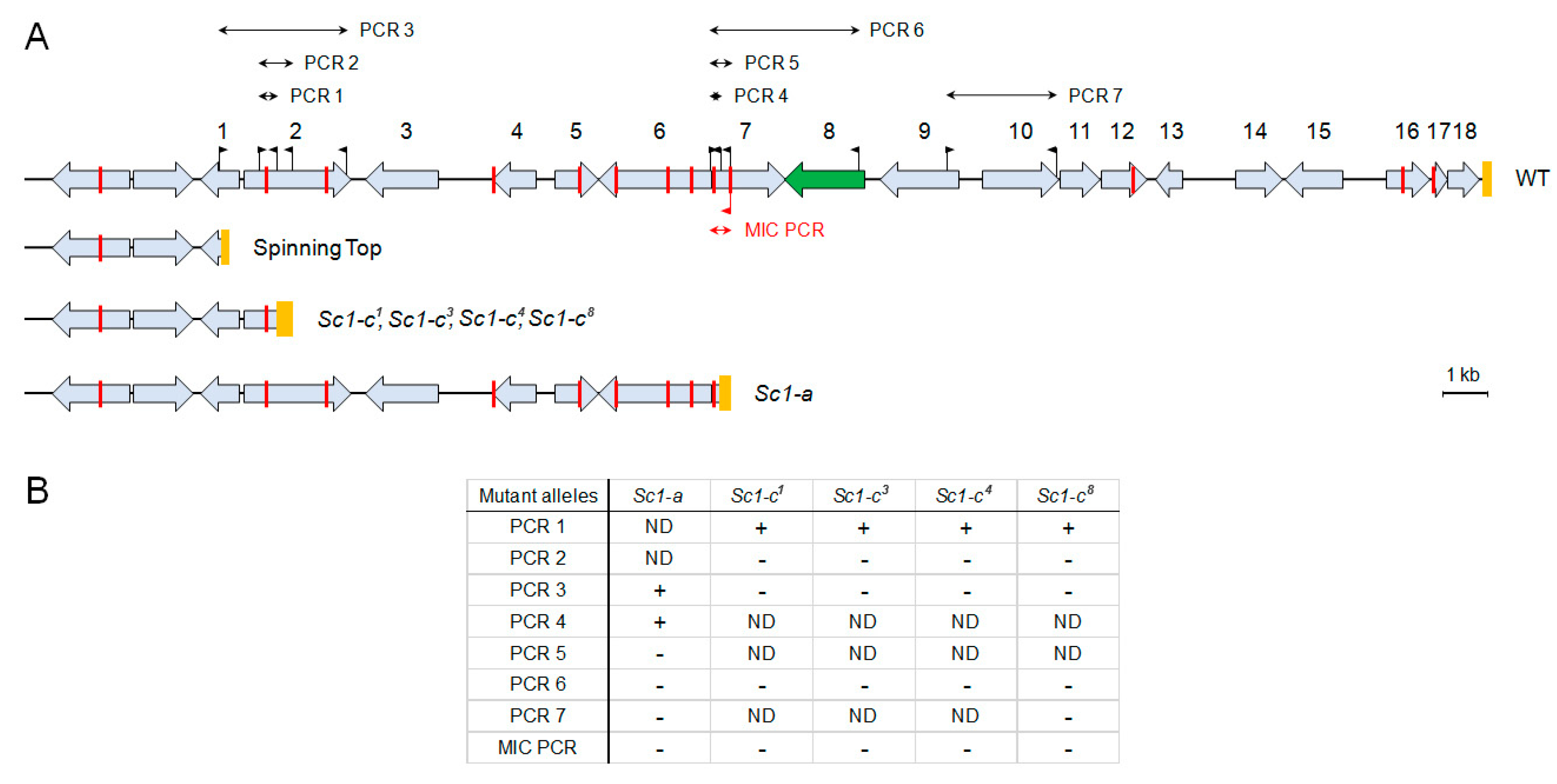 Genes 10 00513 g002 Genes 10 00513 g002