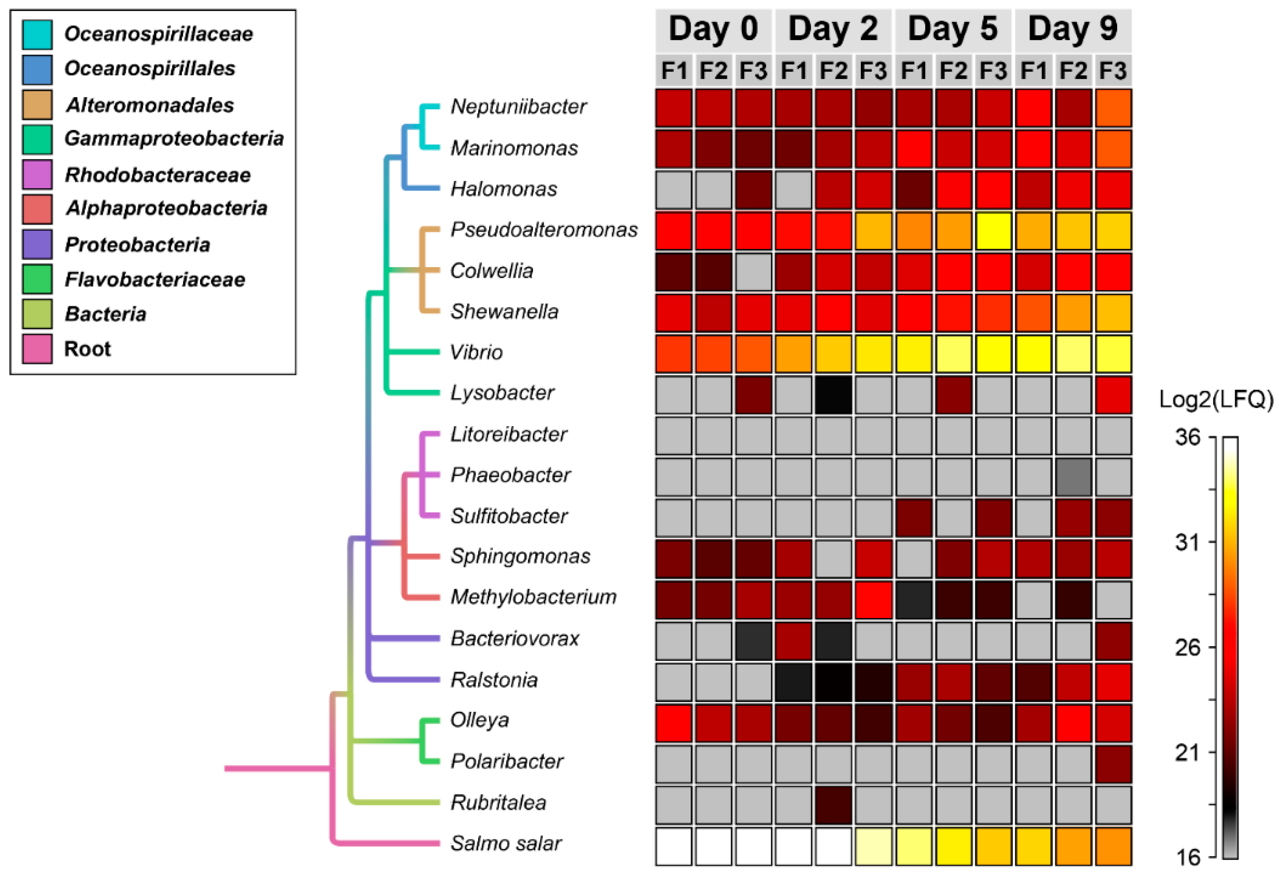Genes 10 00515 g003 Genes 10 00515 g003