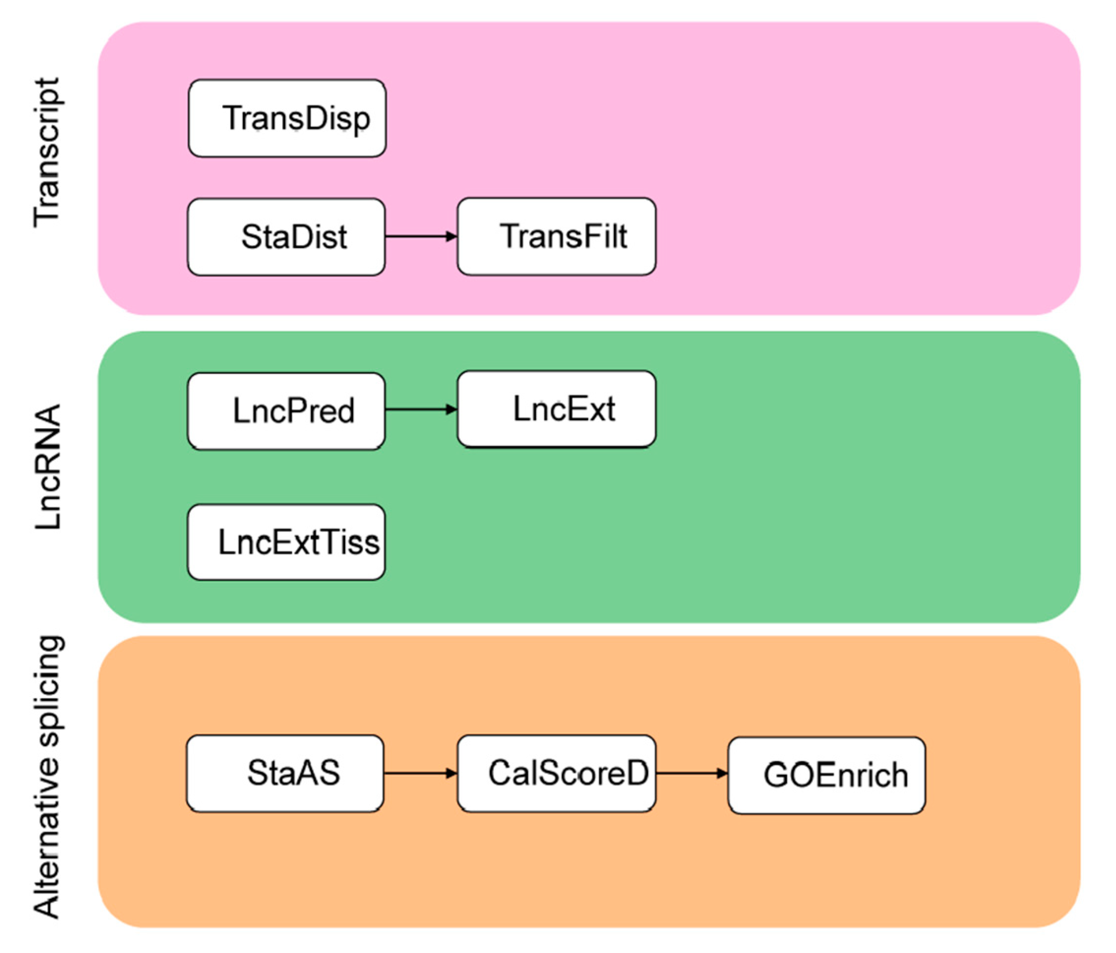 Genes 10 00519 g001 Genes 10 00519 g001
