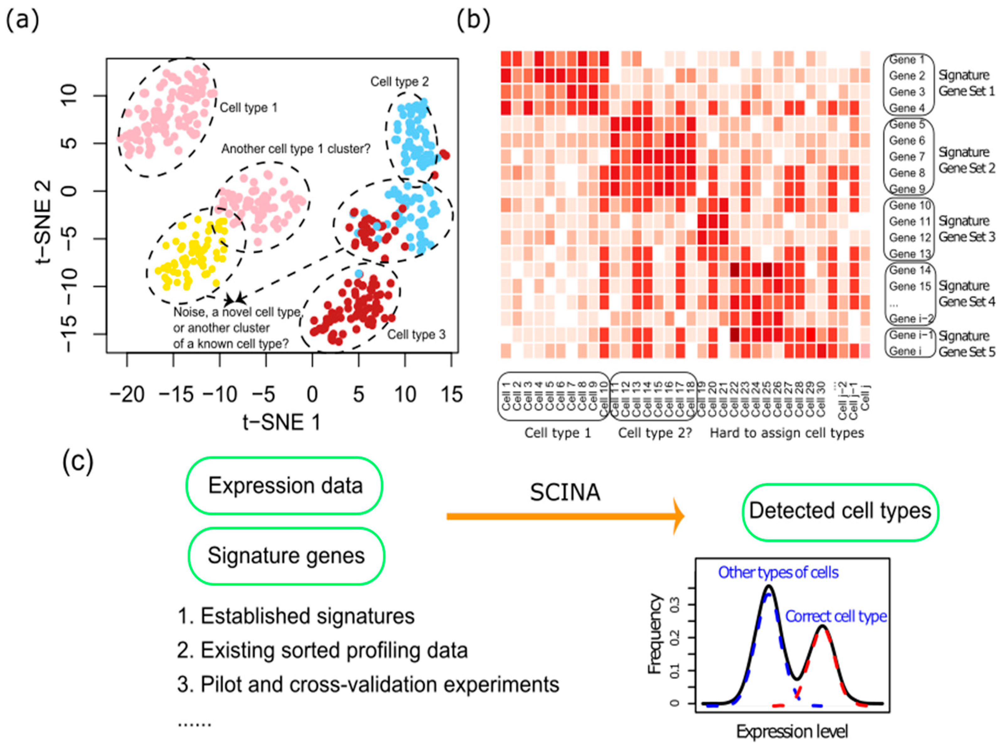Genes 10 00531 g001 Genes 10 00531 g001