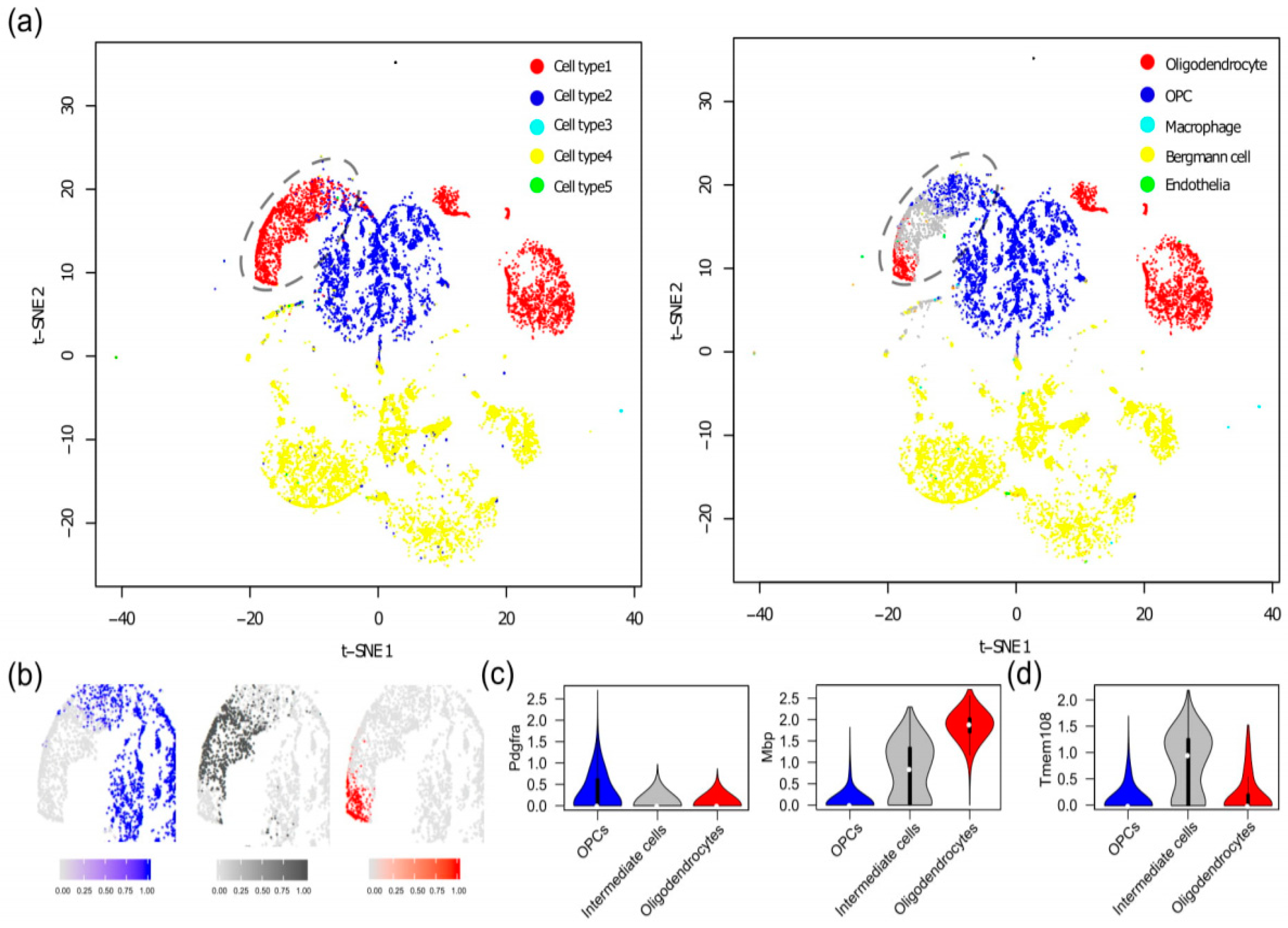 Genes 10 00531 g004 Genes 10 00531 g004