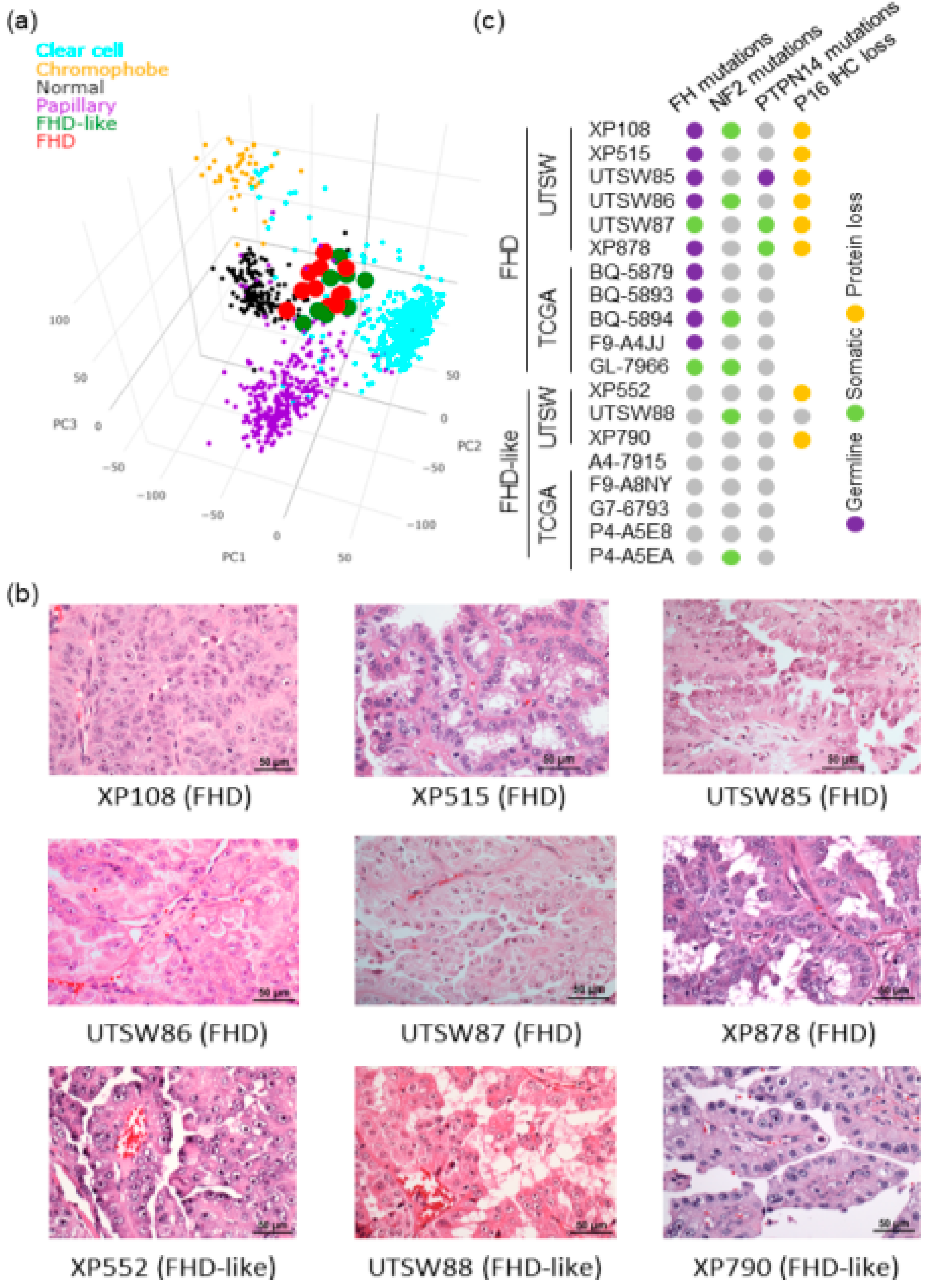 Genes 10 00531 g006 Genes 10 00531 g006