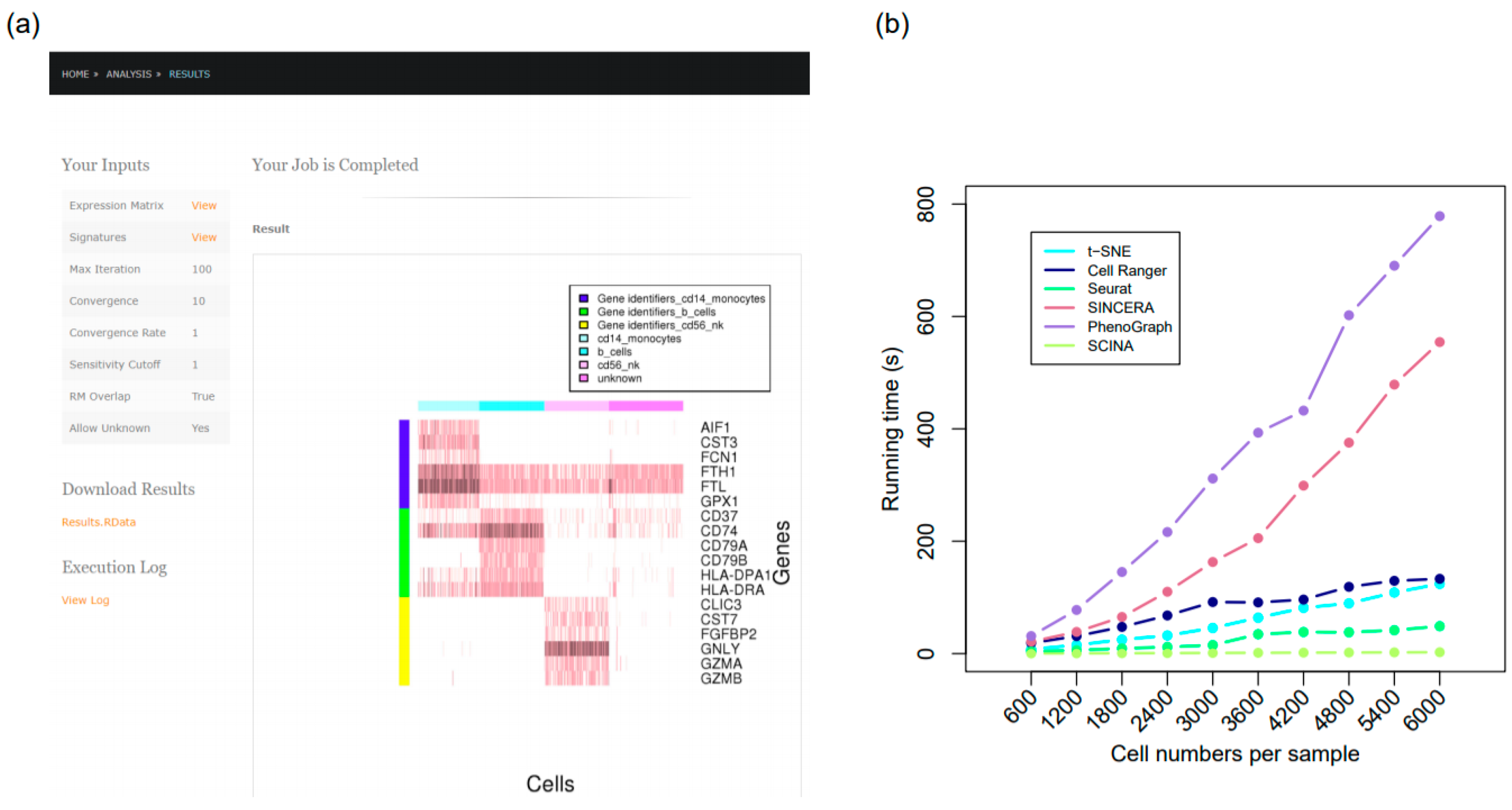 Genes 10 00531 g007 Genes 10 00531 g007