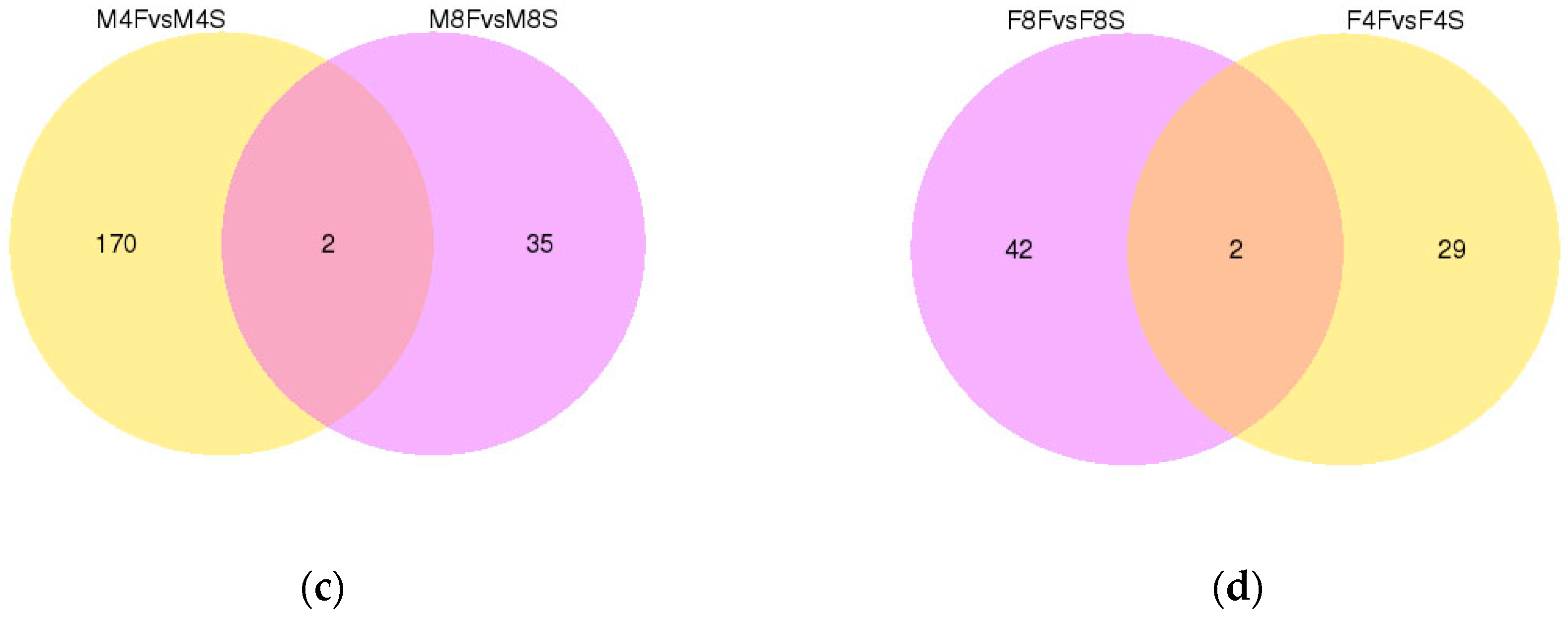 Genes 10 00539 g002b Genes 10 00539 g002b