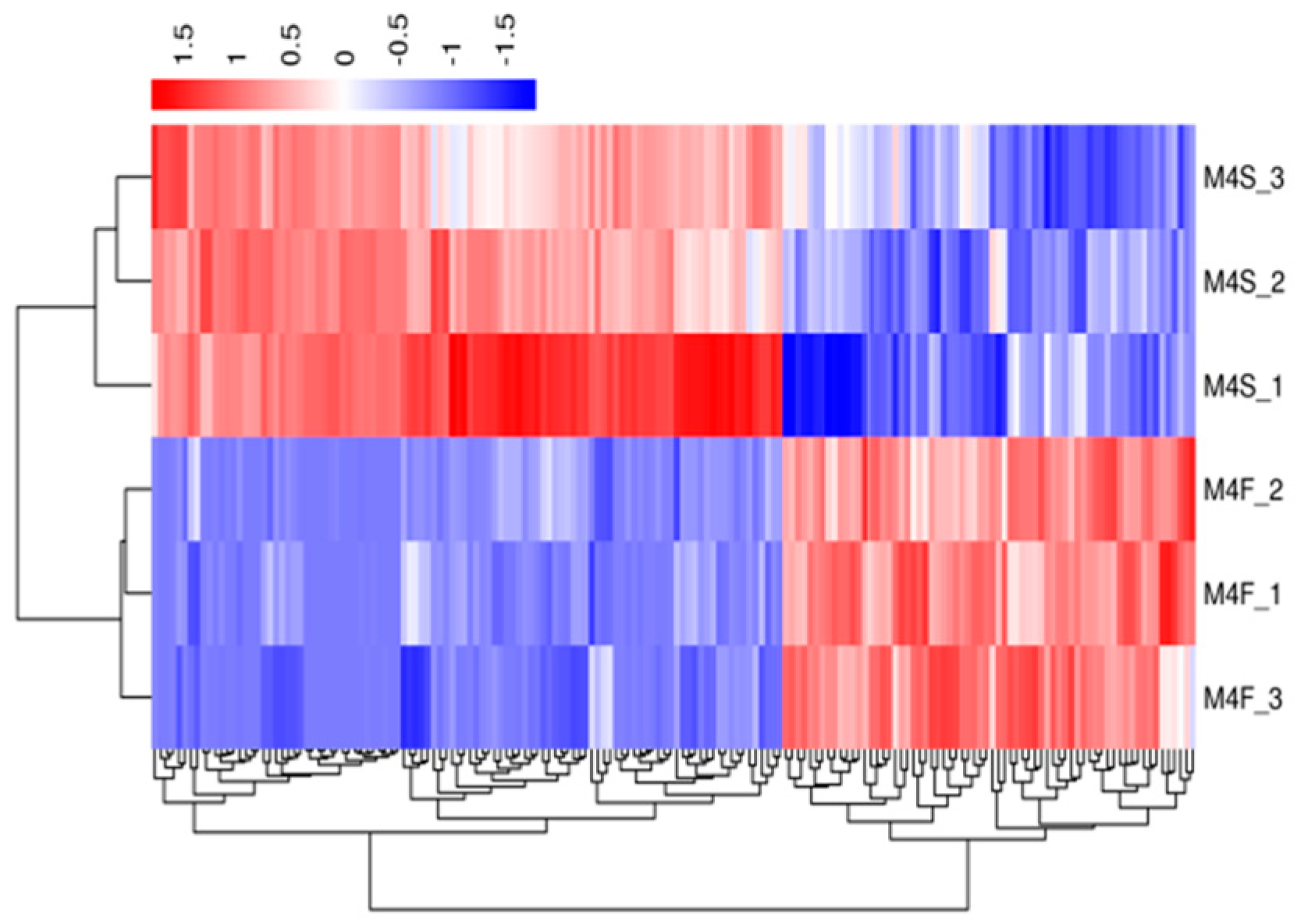 Genes 10 00539 g003 Genes 10 00539 g003