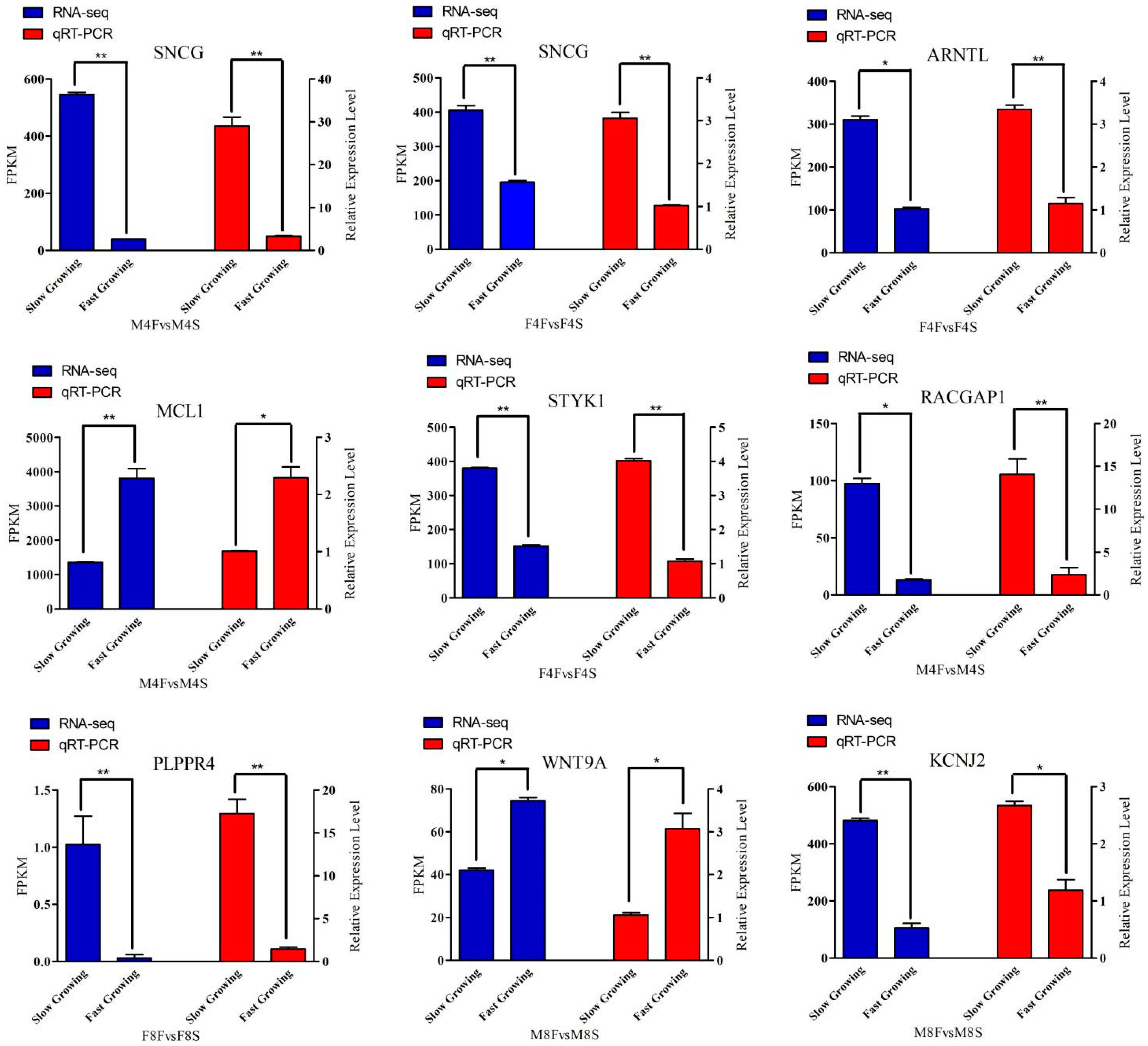 Genes 10 00539 g007 Genes 10 00539 g007