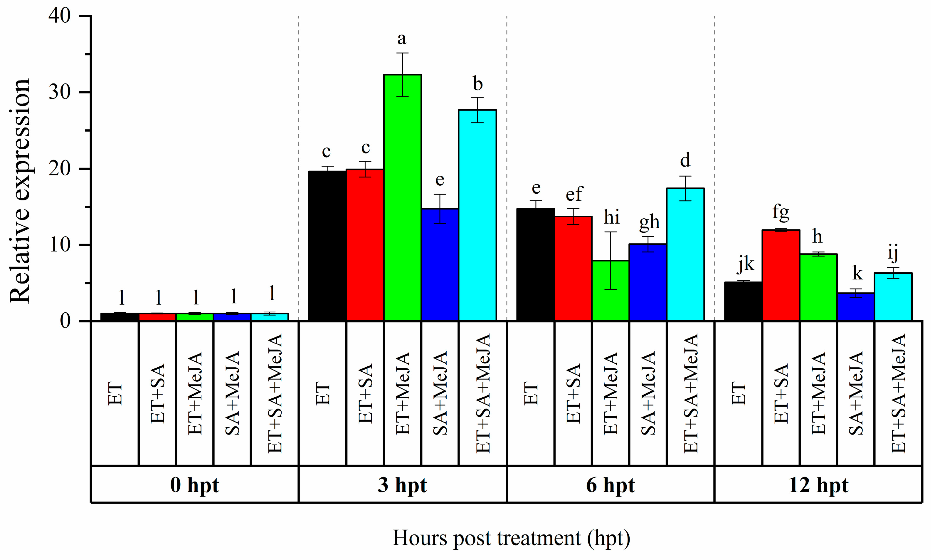 Genes 10 00541 g001 Genes 10 00541 g001
