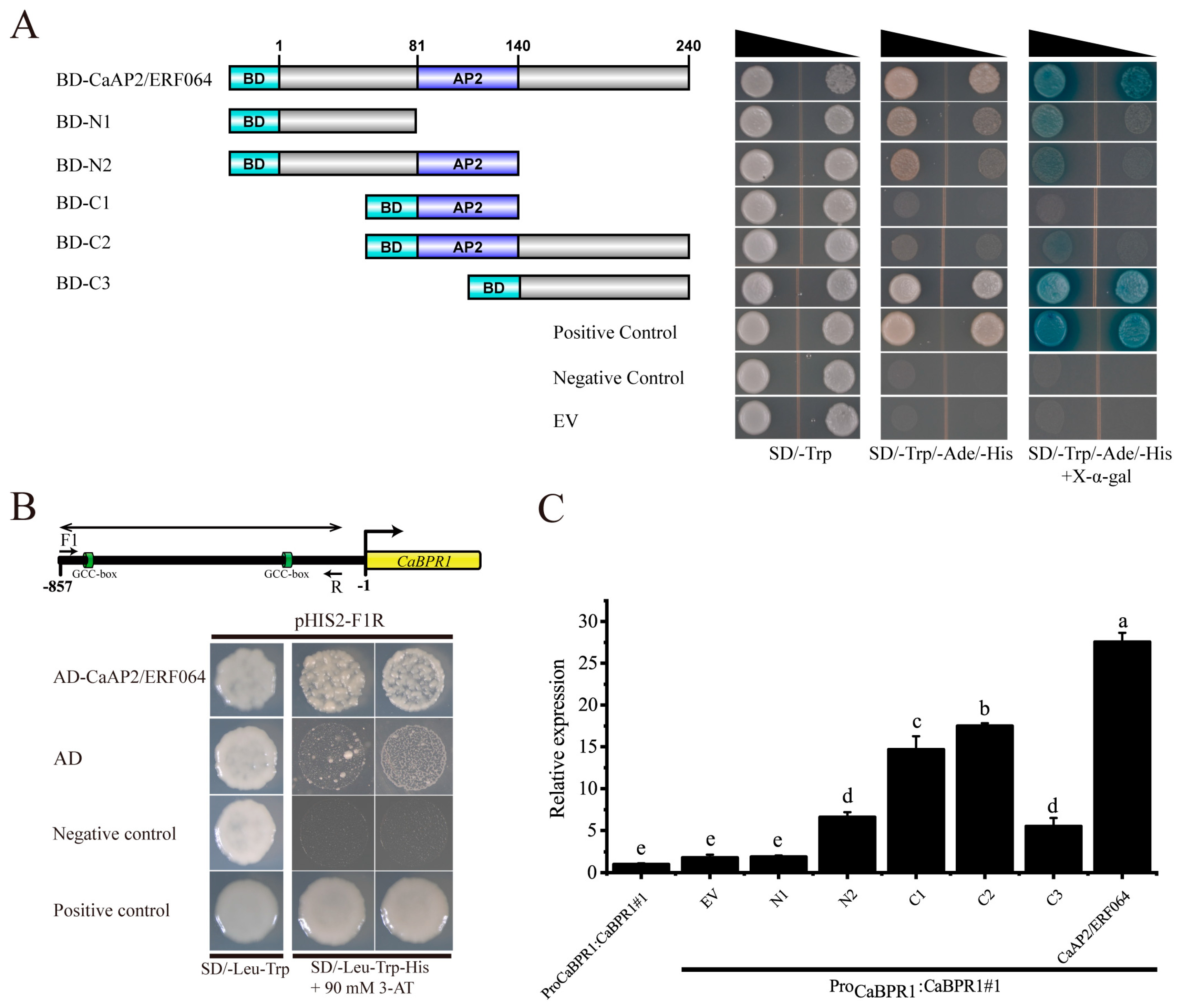 Genes 10 00541 g004 Genes 10 00541 g004