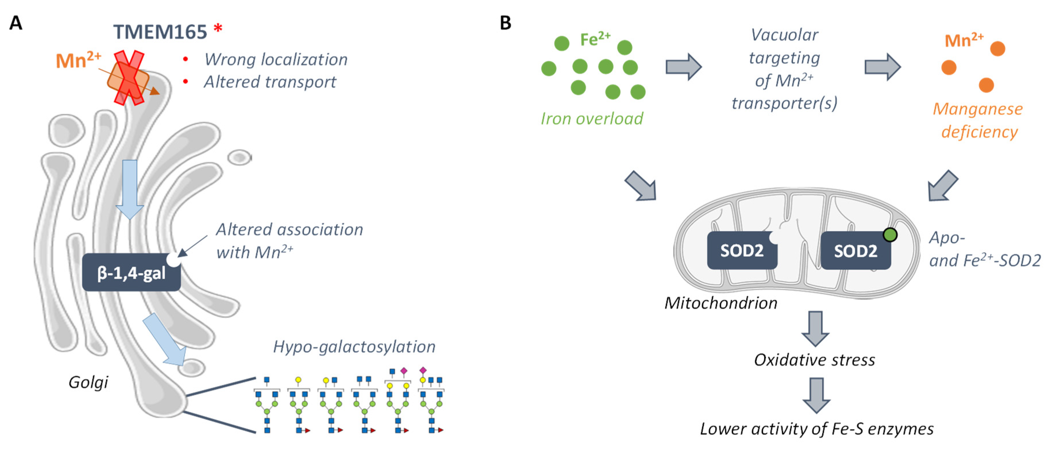 Genes 10 00545 g002