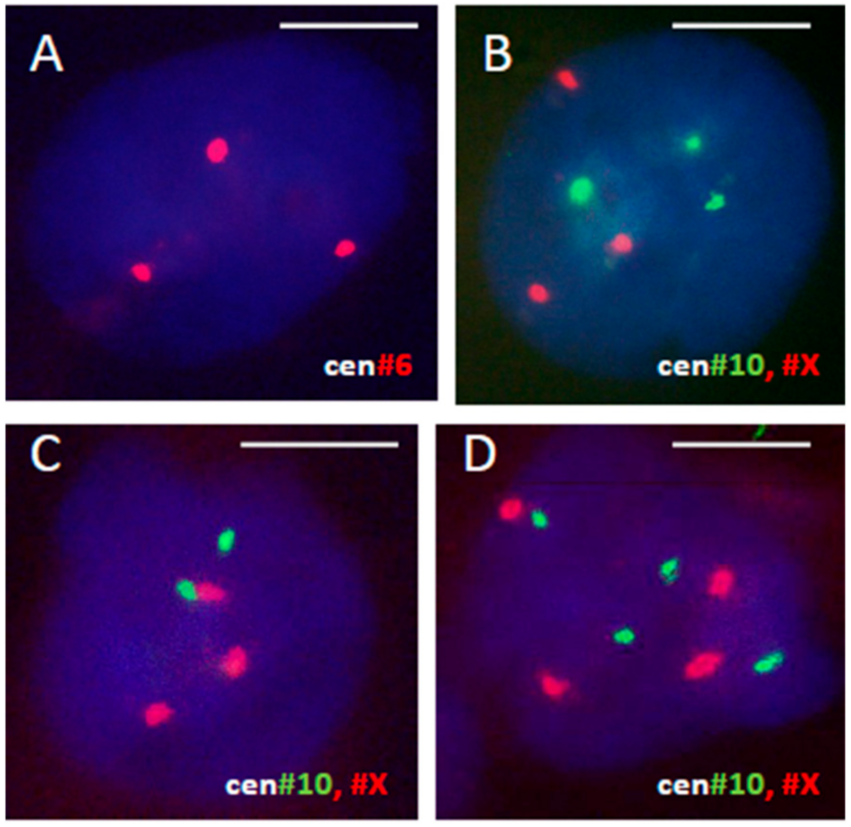 Genes 10 00551 g002 Genes 10 00551 g002