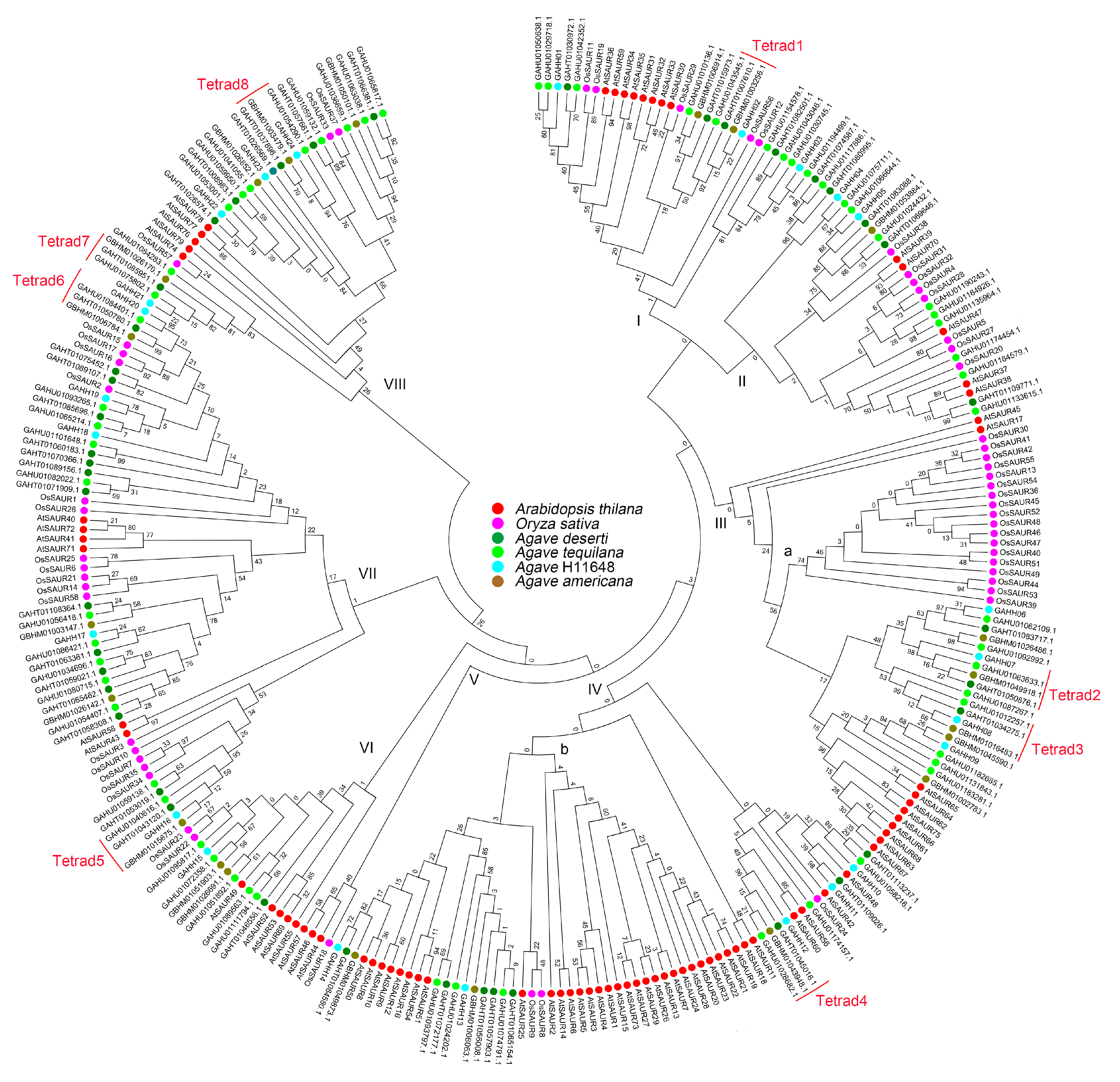 Genes 10 00555 g001 Genes 10 00555 g001