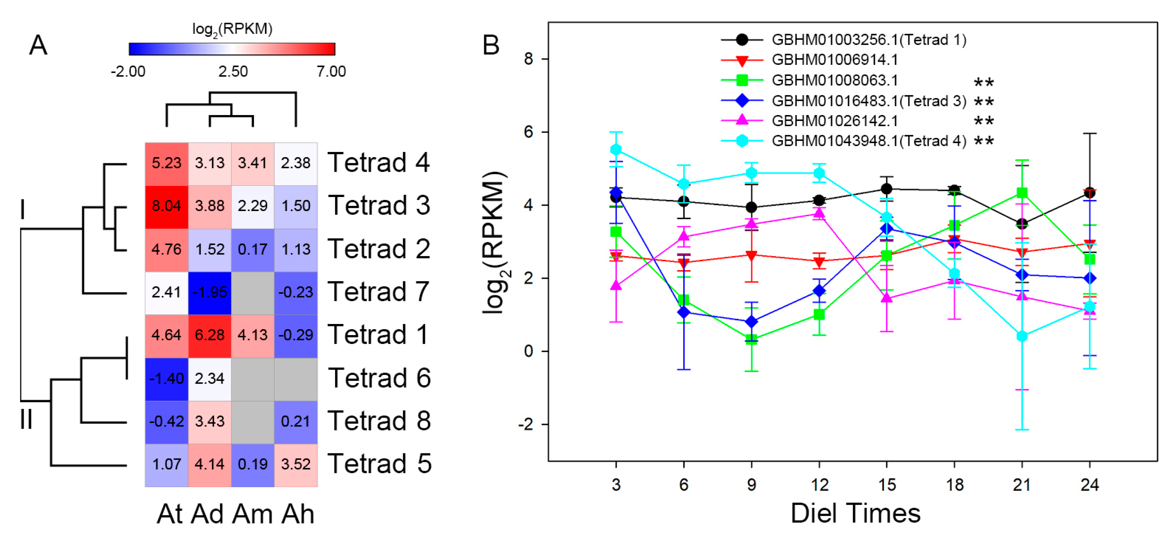 Genes 10 00555 g002 Genes 10 00555 g002