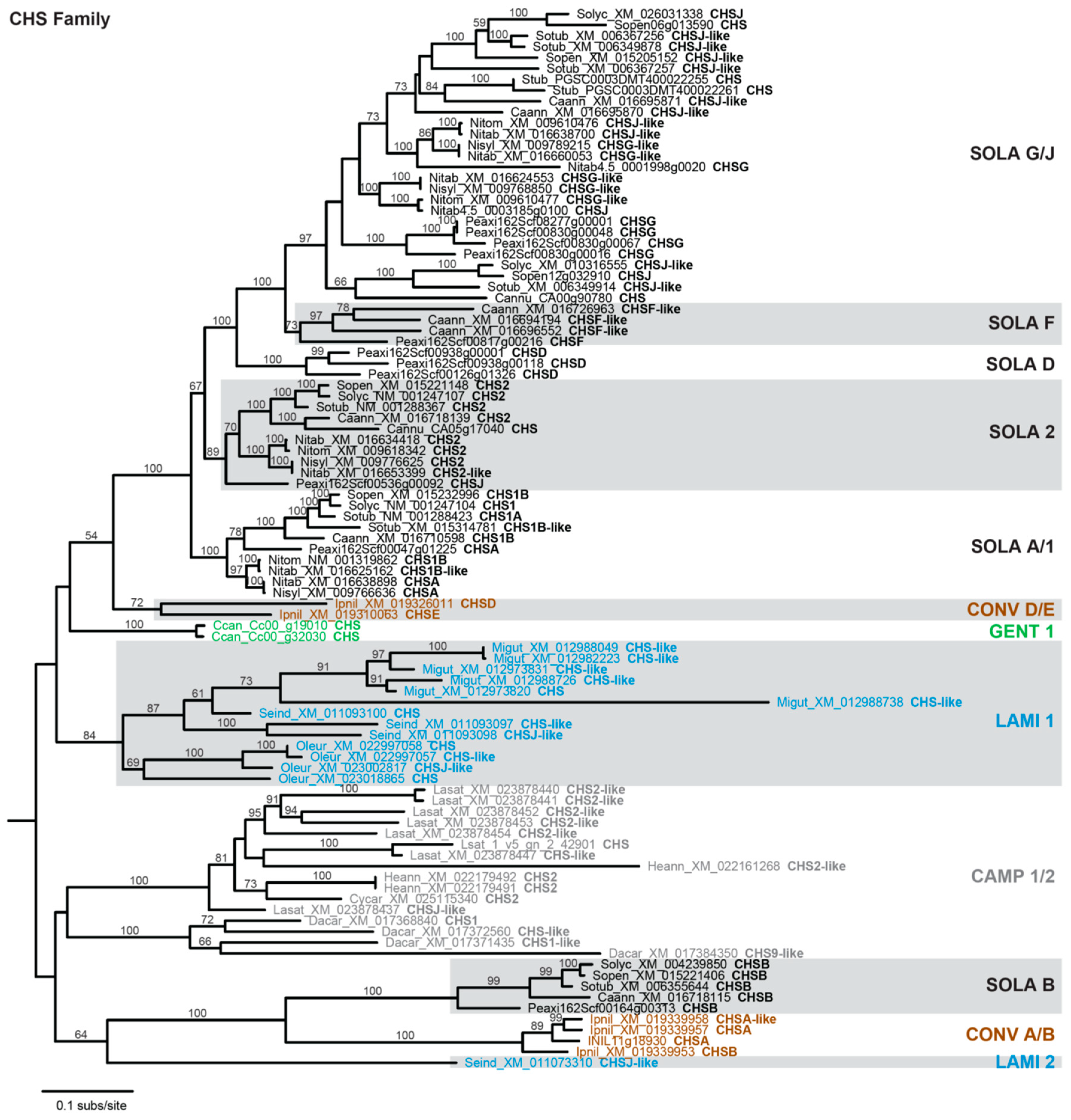 Genes 10 00559 g002 Genes 10 00559 g002