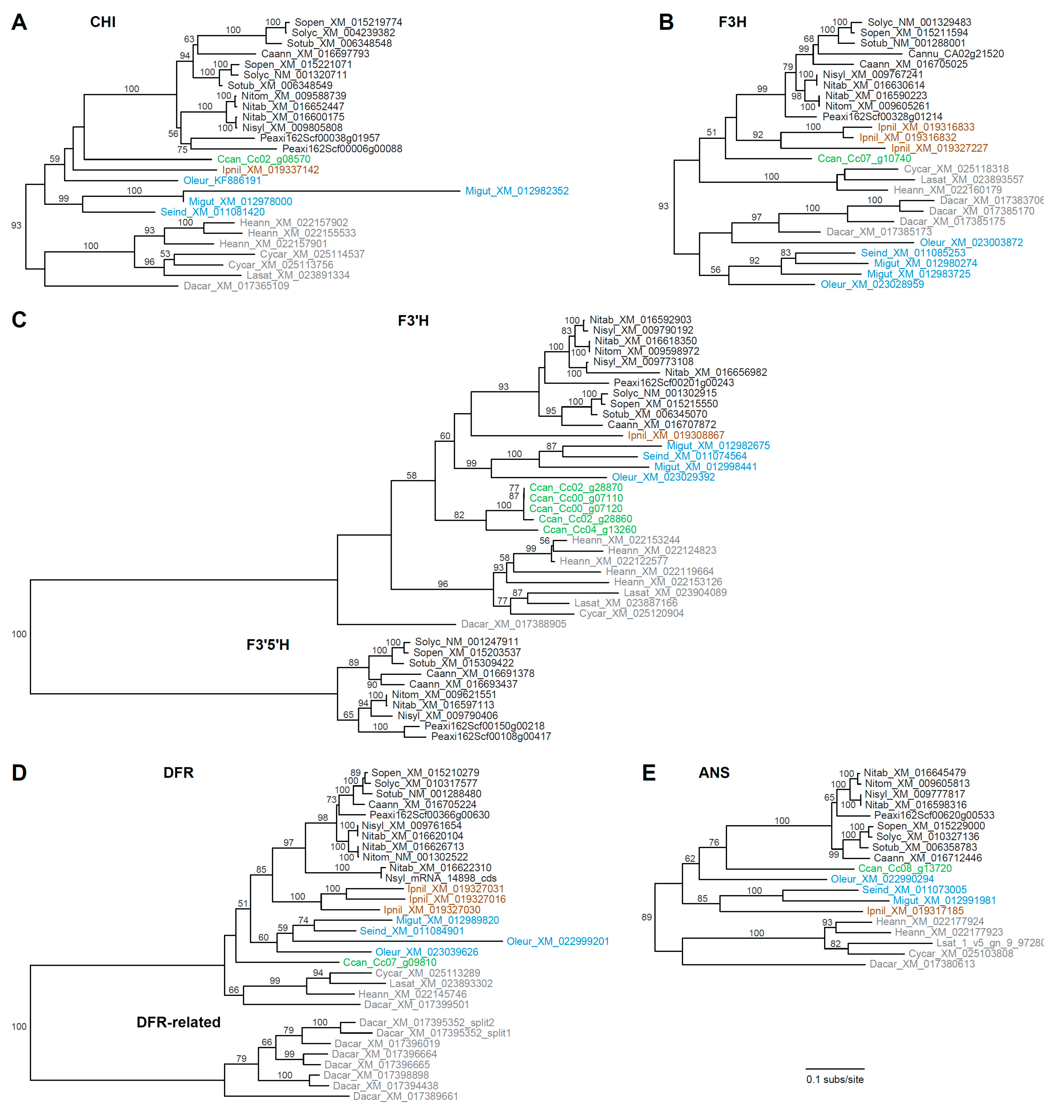 Genes 10 00559 g003 Genes 10 00559 g003