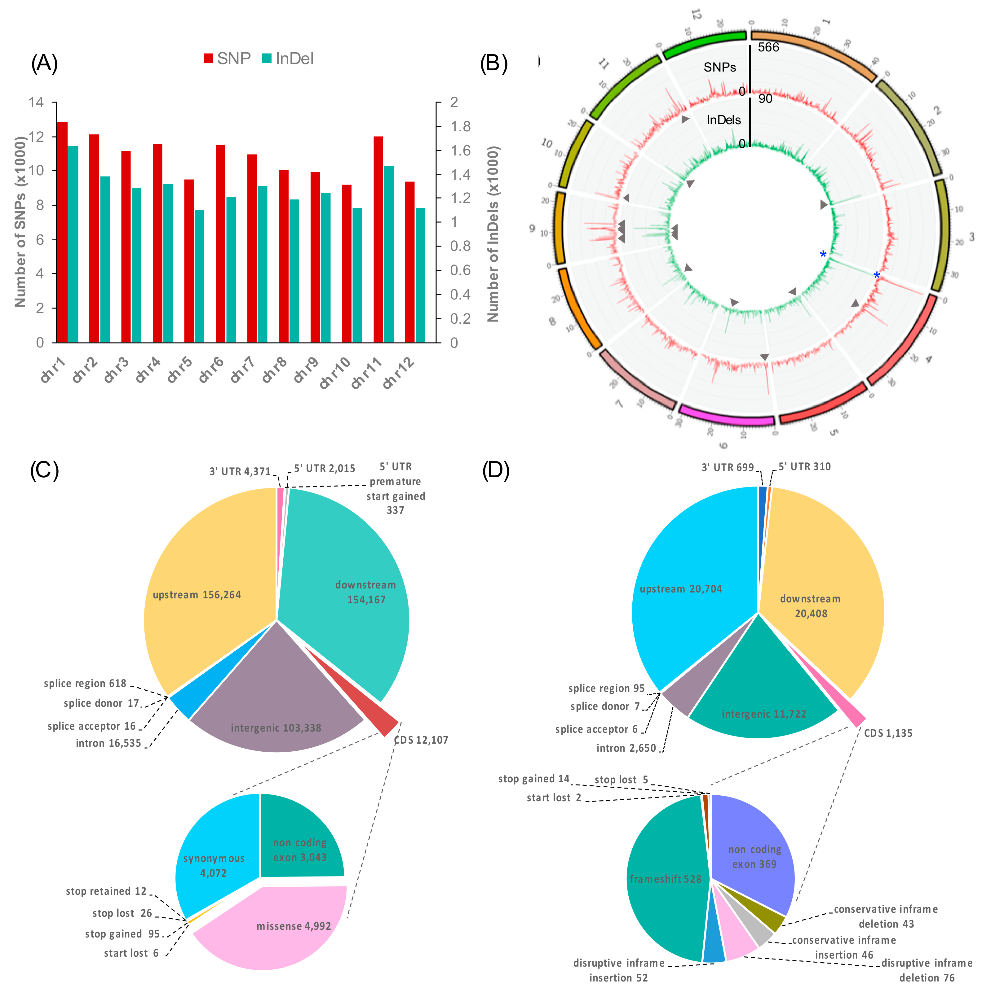 Genes 10 00562 g004 Genes 10 00562 g004