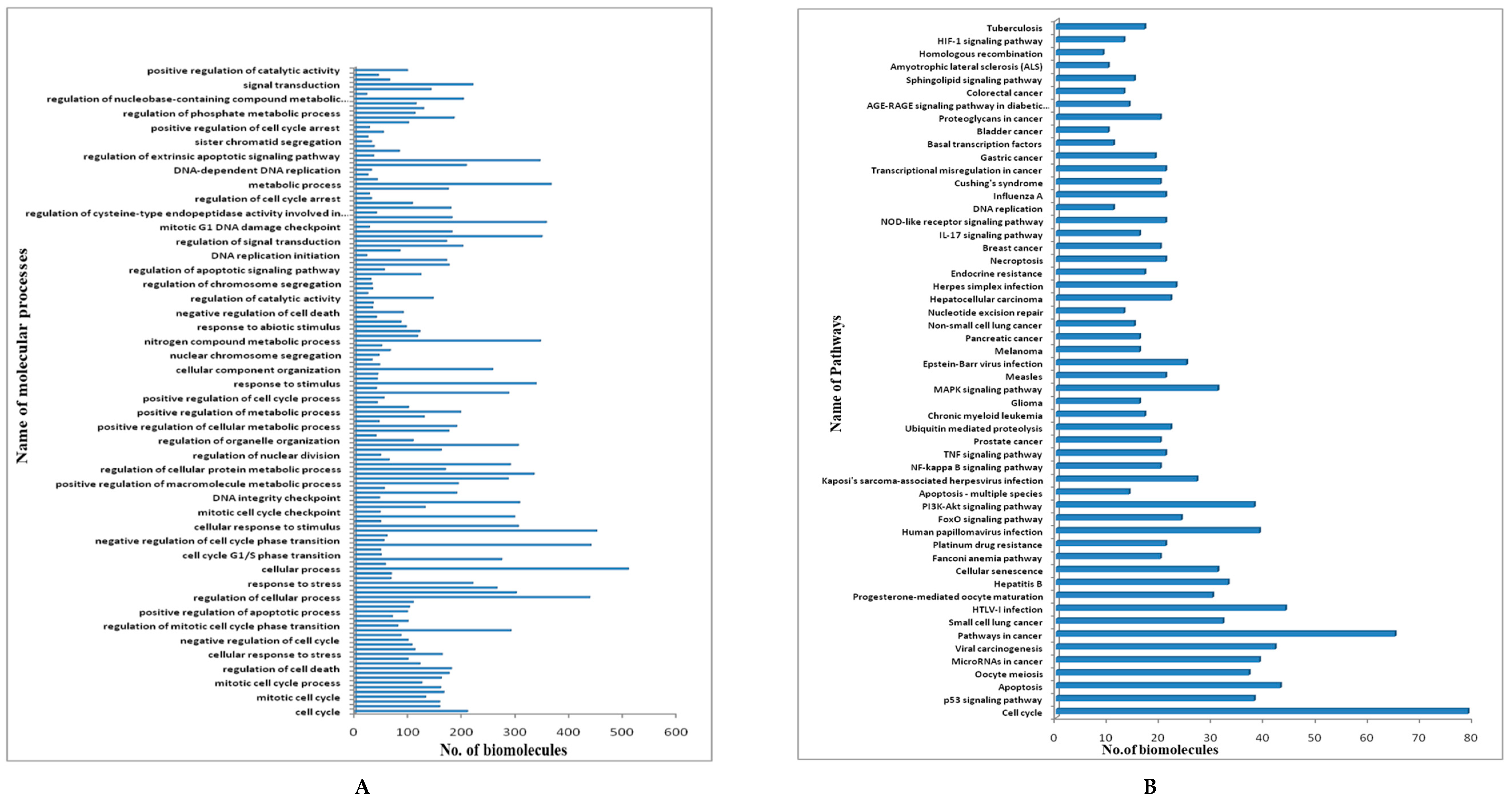 Genes 10 00564 g003