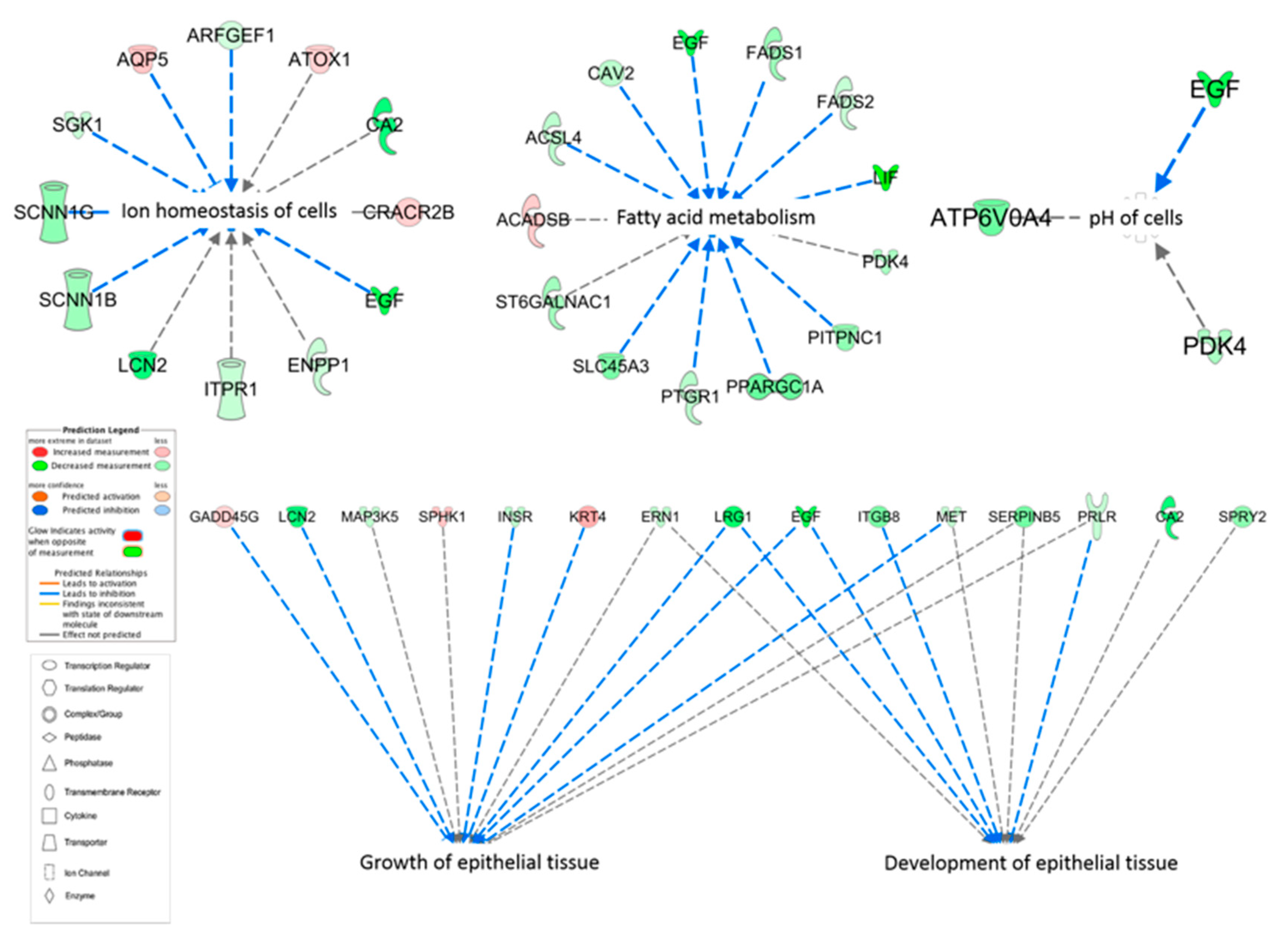 Genes 10 00576 g004 Genes 10 00576 g004