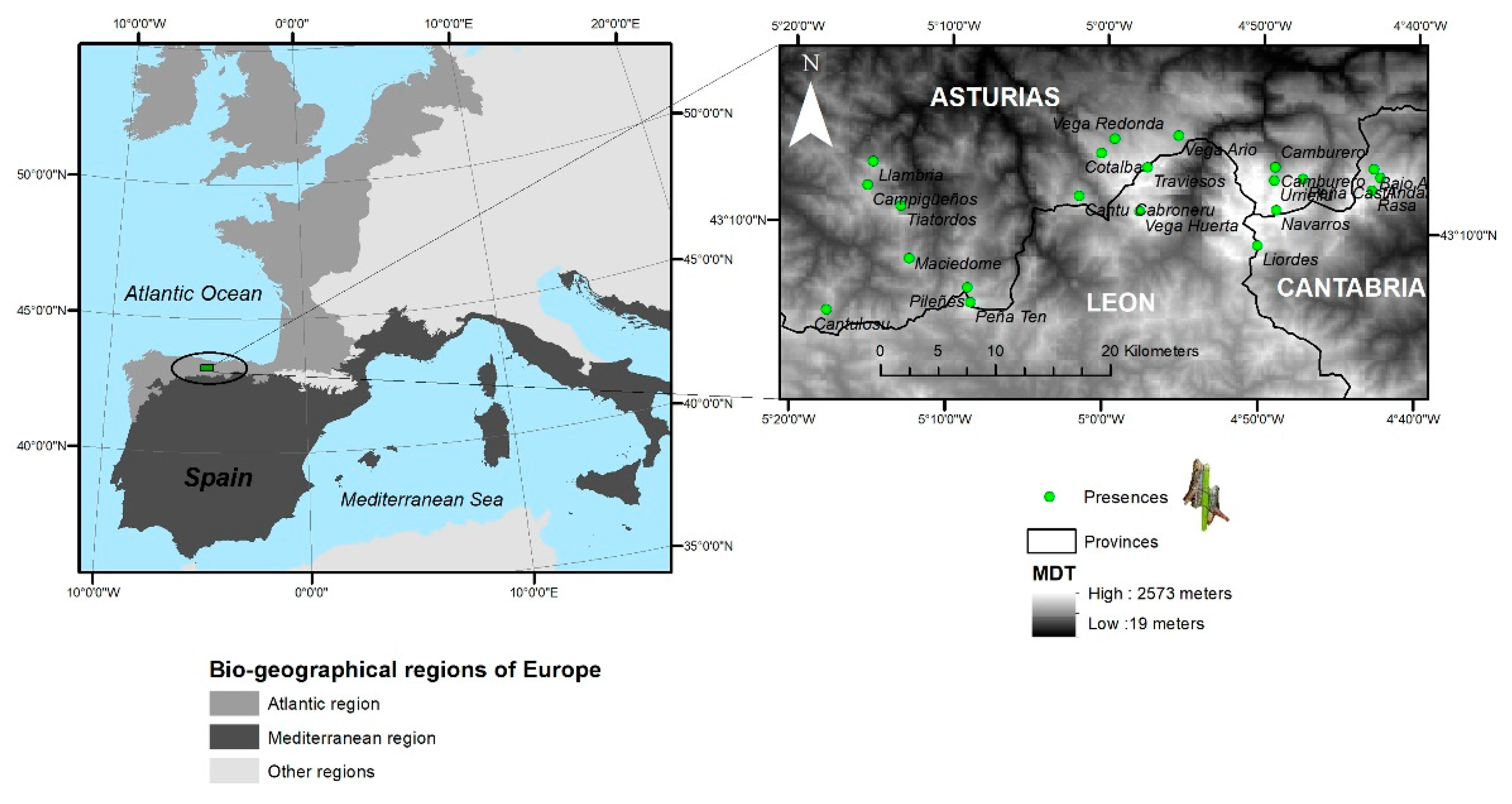 Genes 10 00590 g001 Genes 10 00590 g001
