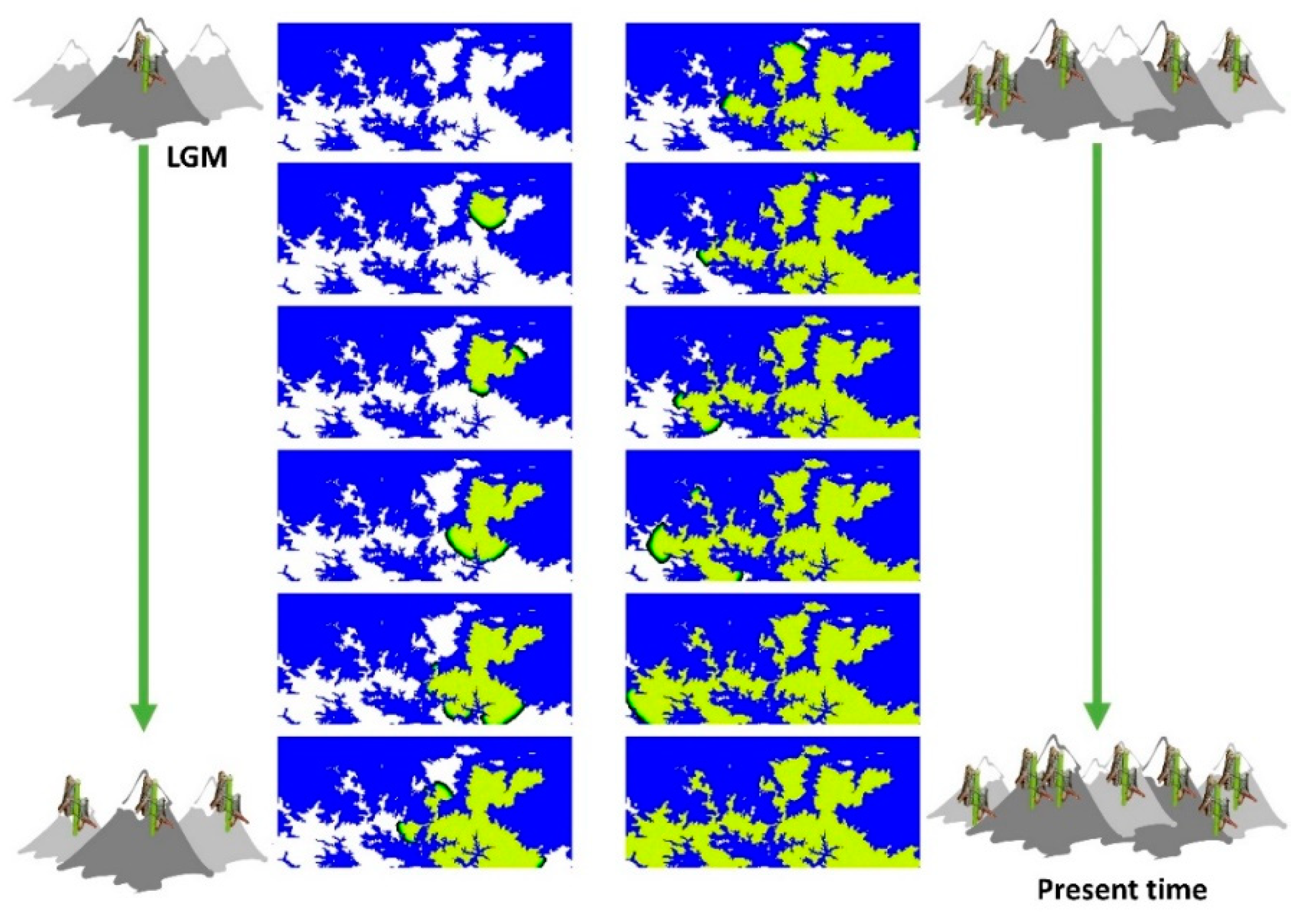 Genes 10 00590 g002 Genes 10 00590 g002