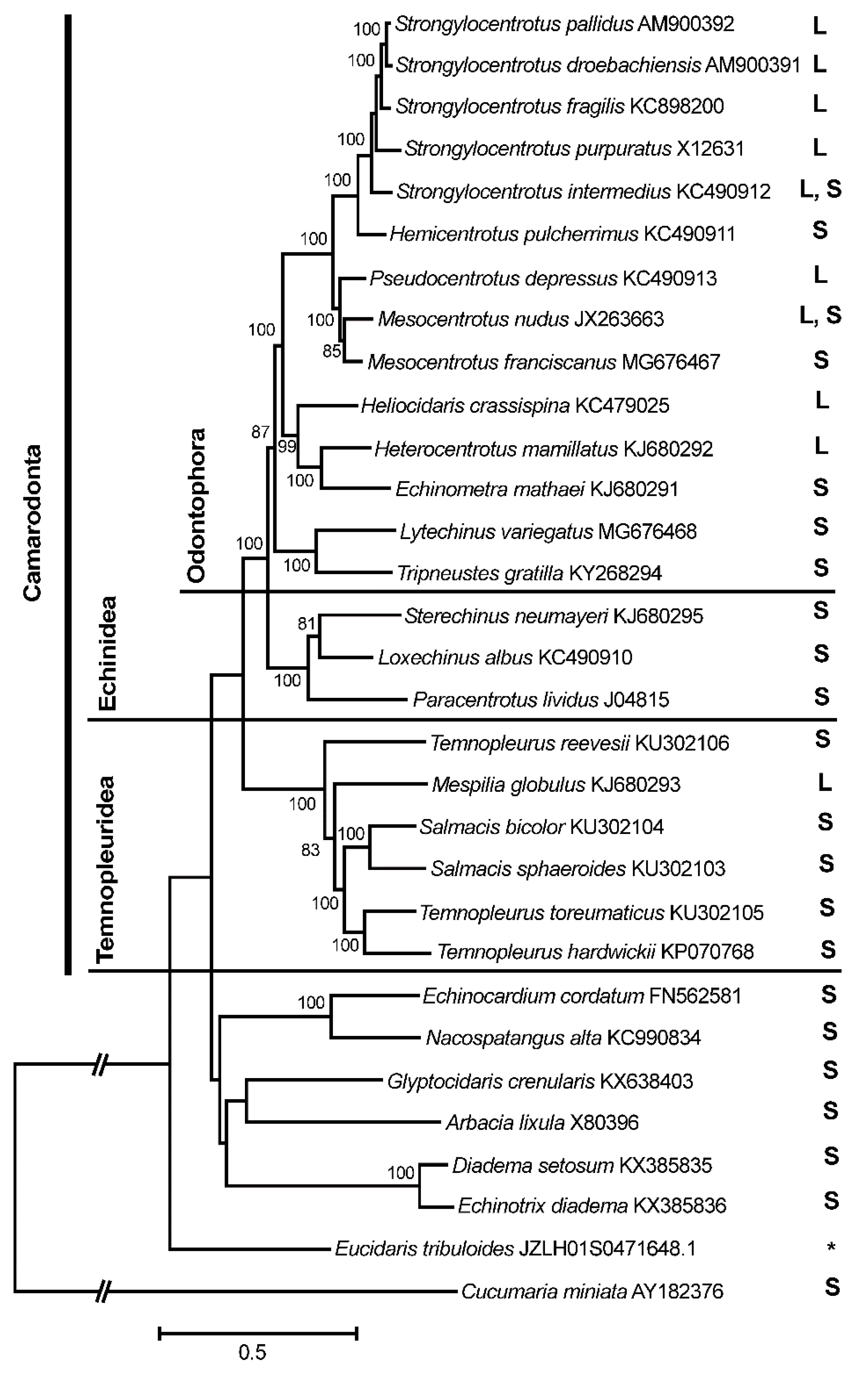 Genes 10 00592 g002 Genes 10 00592 g002