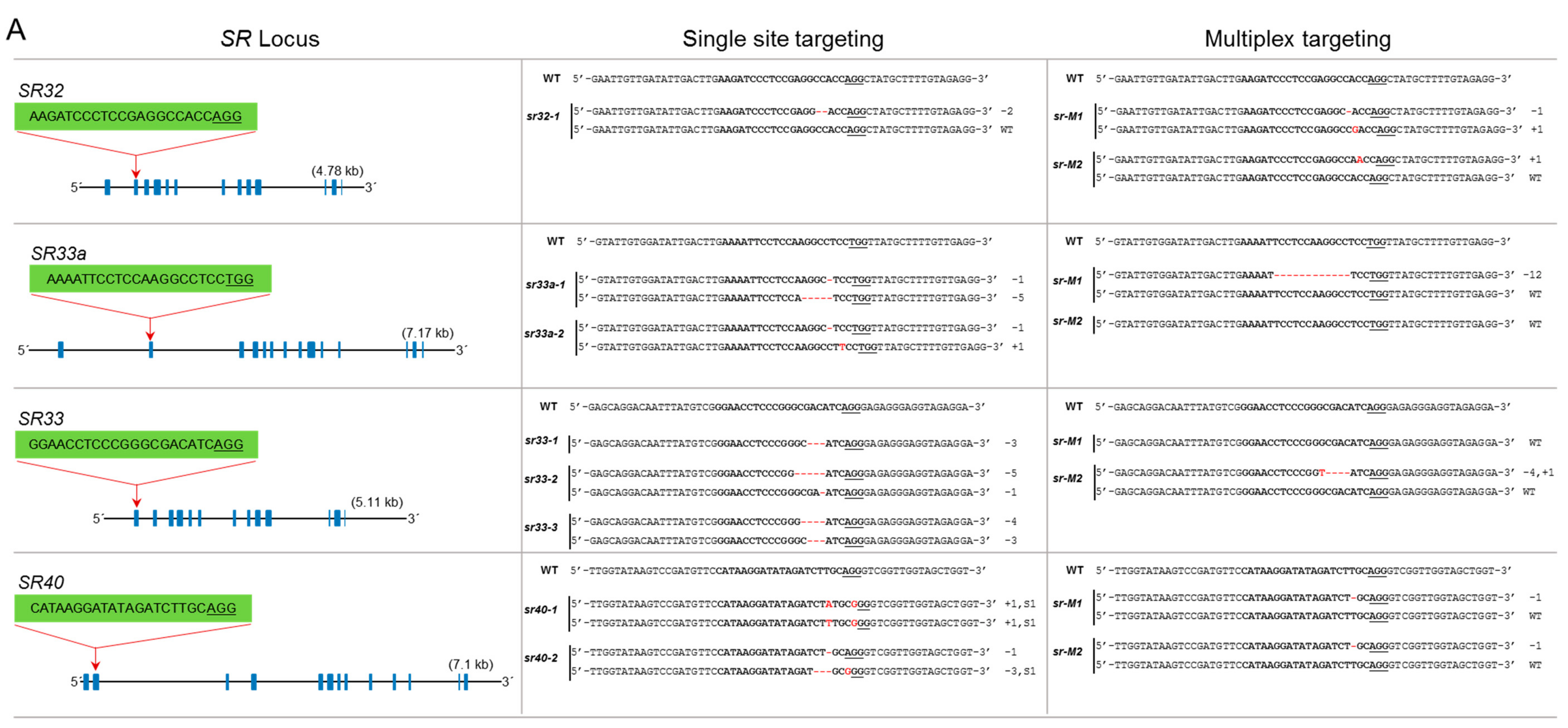 Genes 10 00596 g003a
