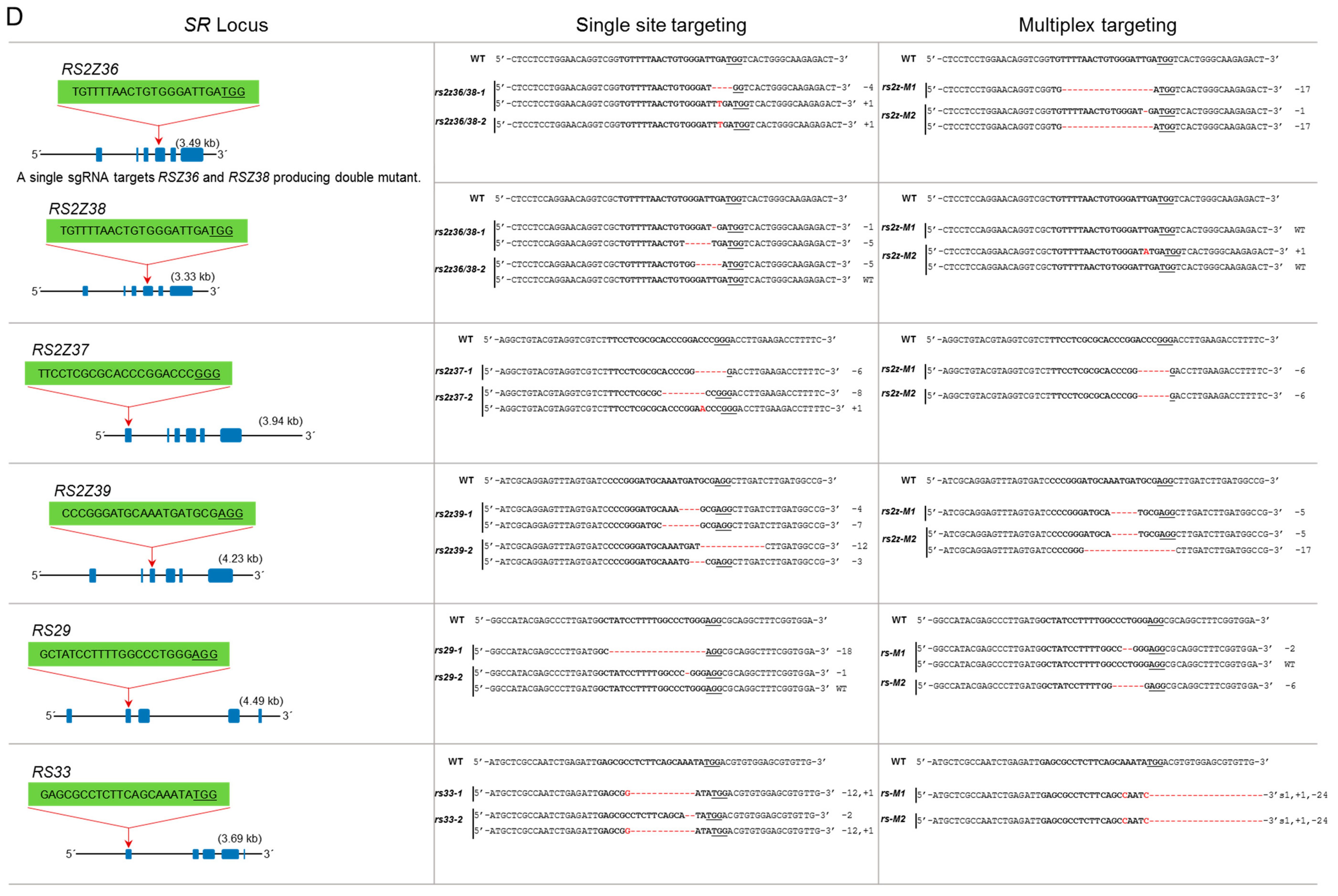 Genes 10 00596 g003d