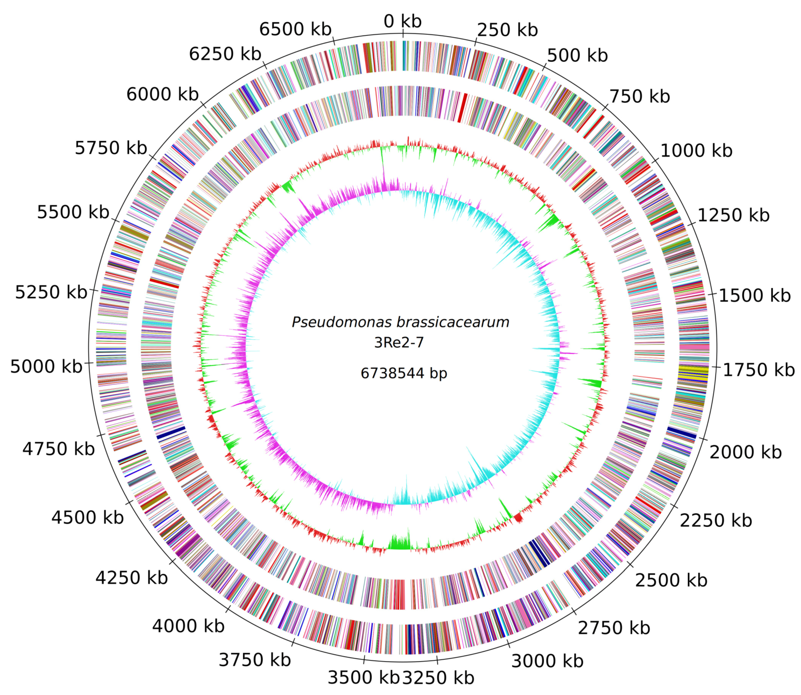 Genes 10 00601 g001