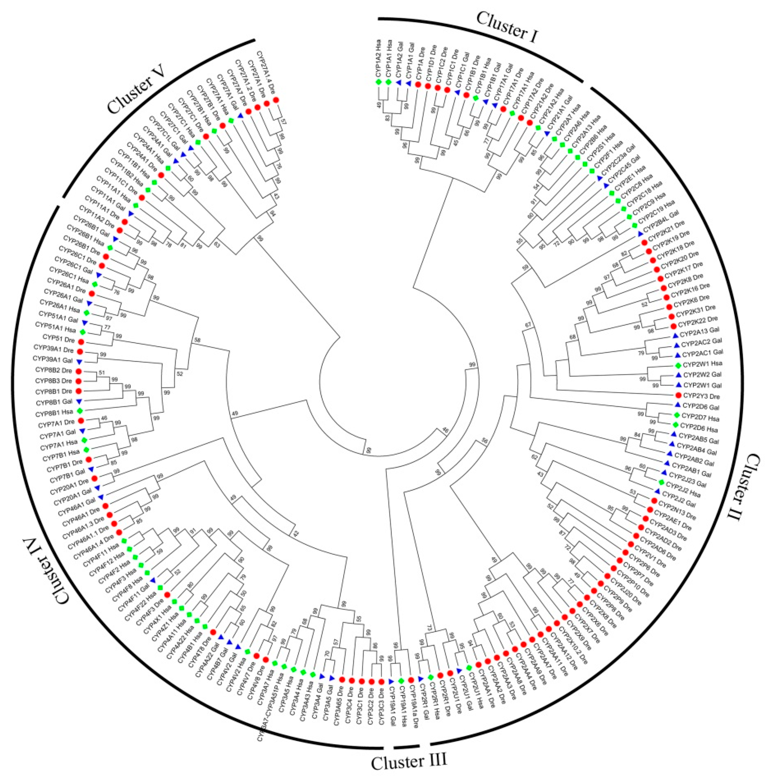Genes 10 00617 g001 Genes 10 00617 g001