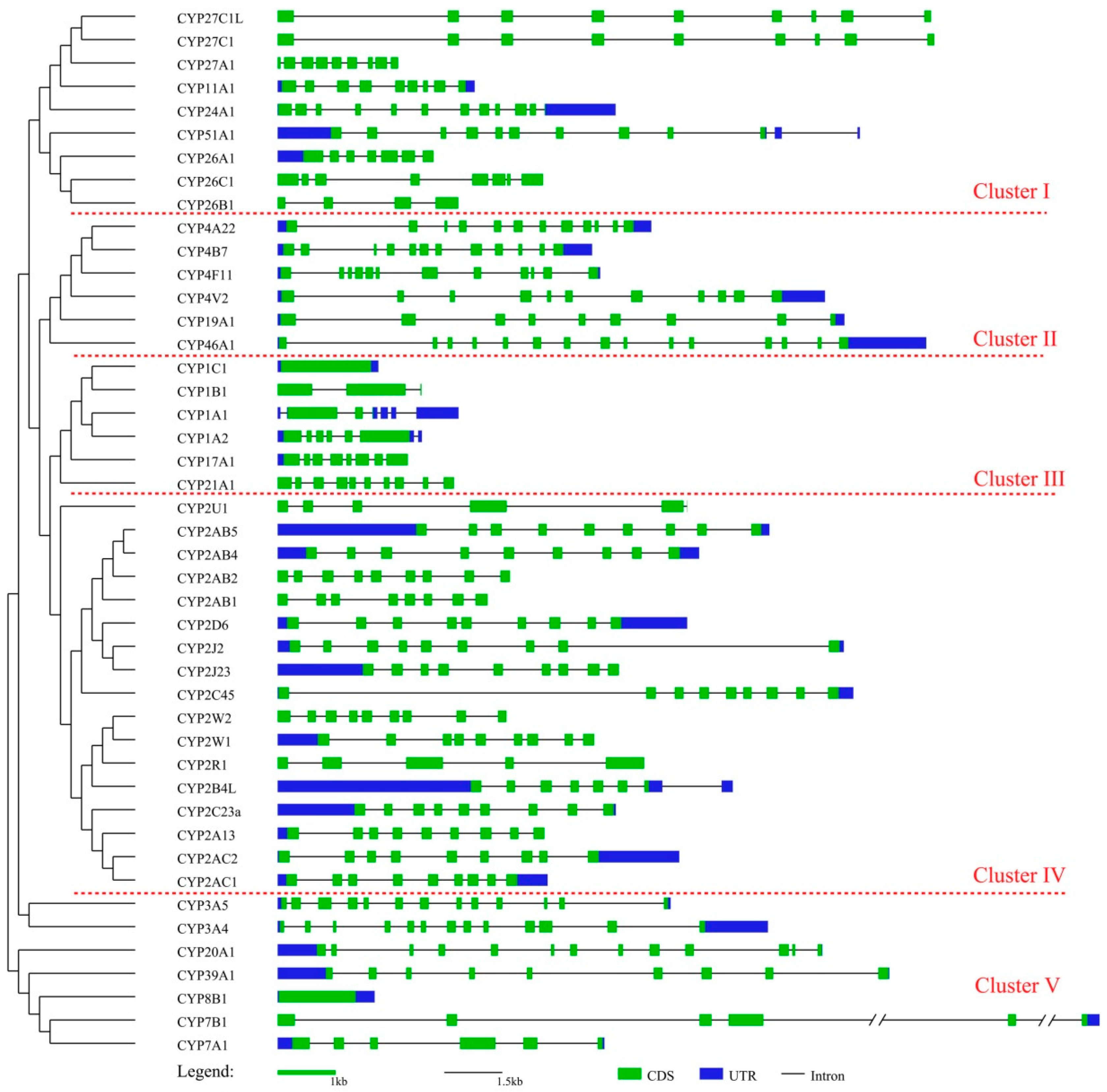 Genes 10 00617 g002 Genes 10 00617 g002