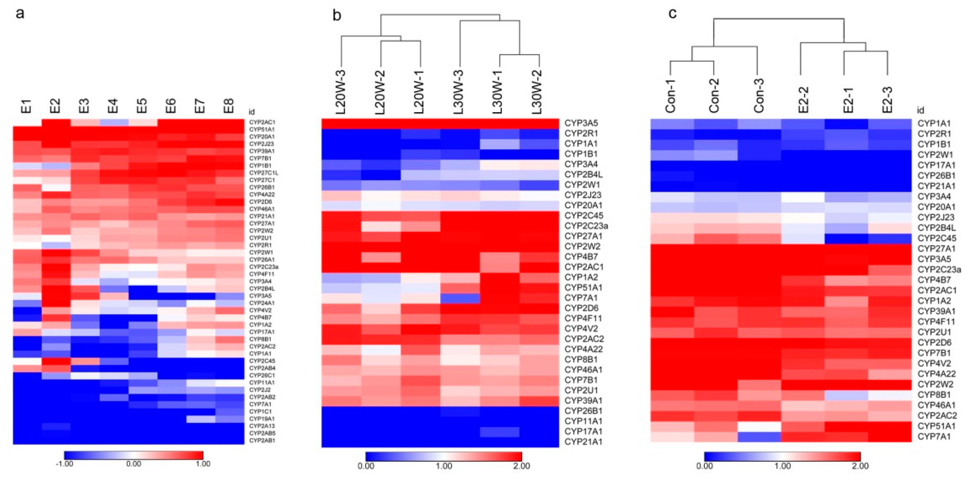 Genes 10 00617 g004 Genes 10 00617 g004
