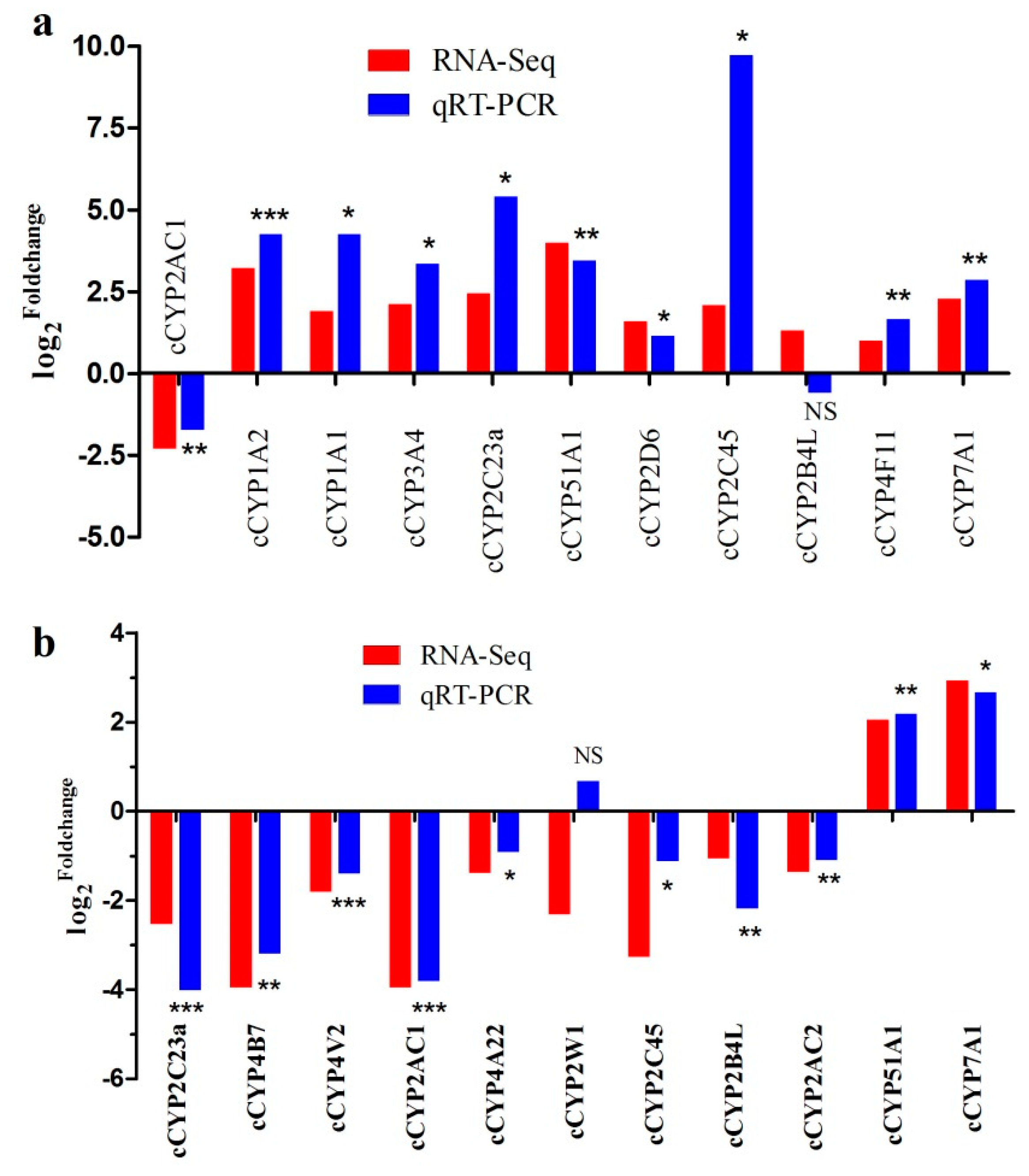 Genes 10 00617 g005 Genes 10 00617 g005
