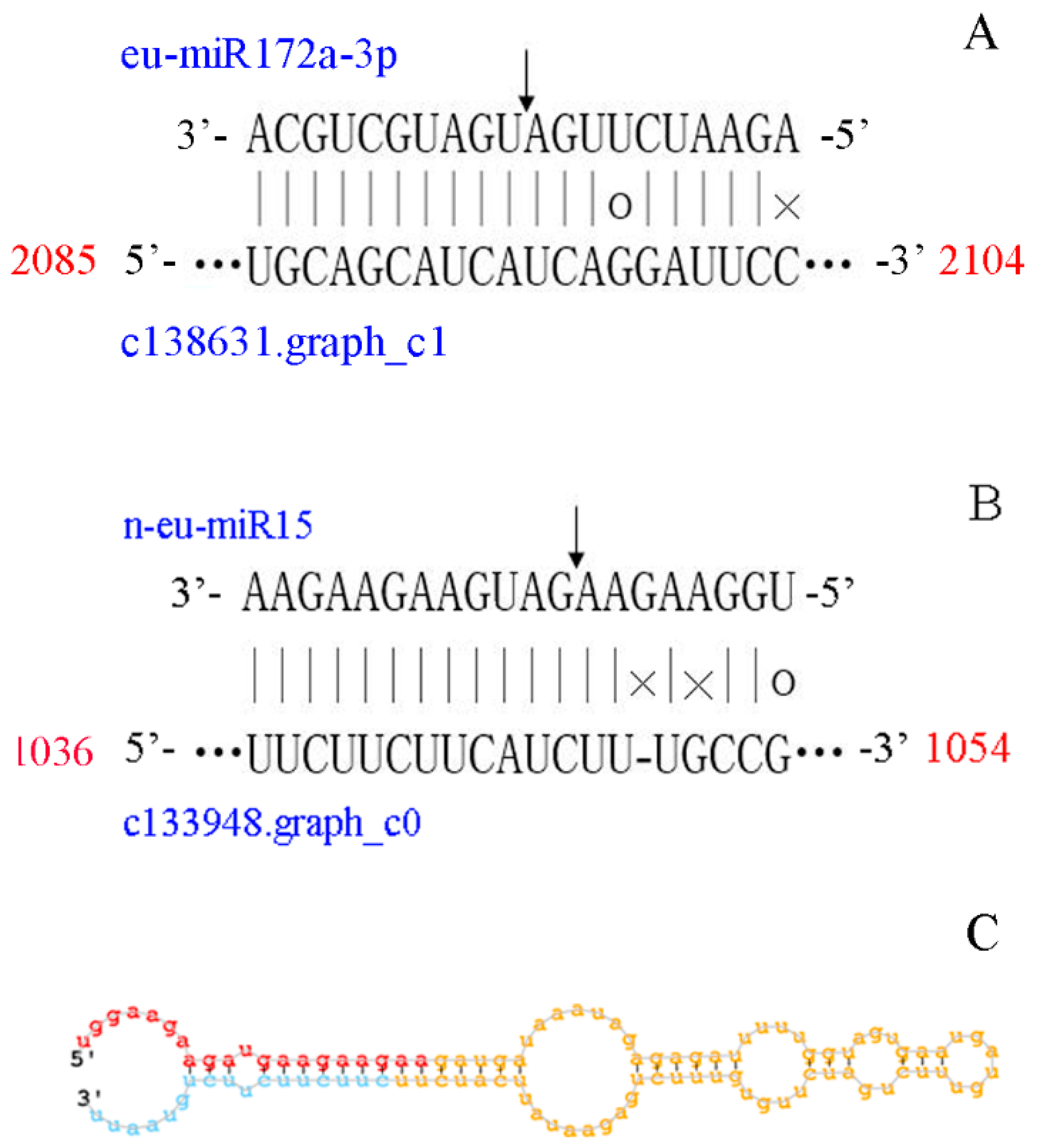 Genes 10 00623 g005