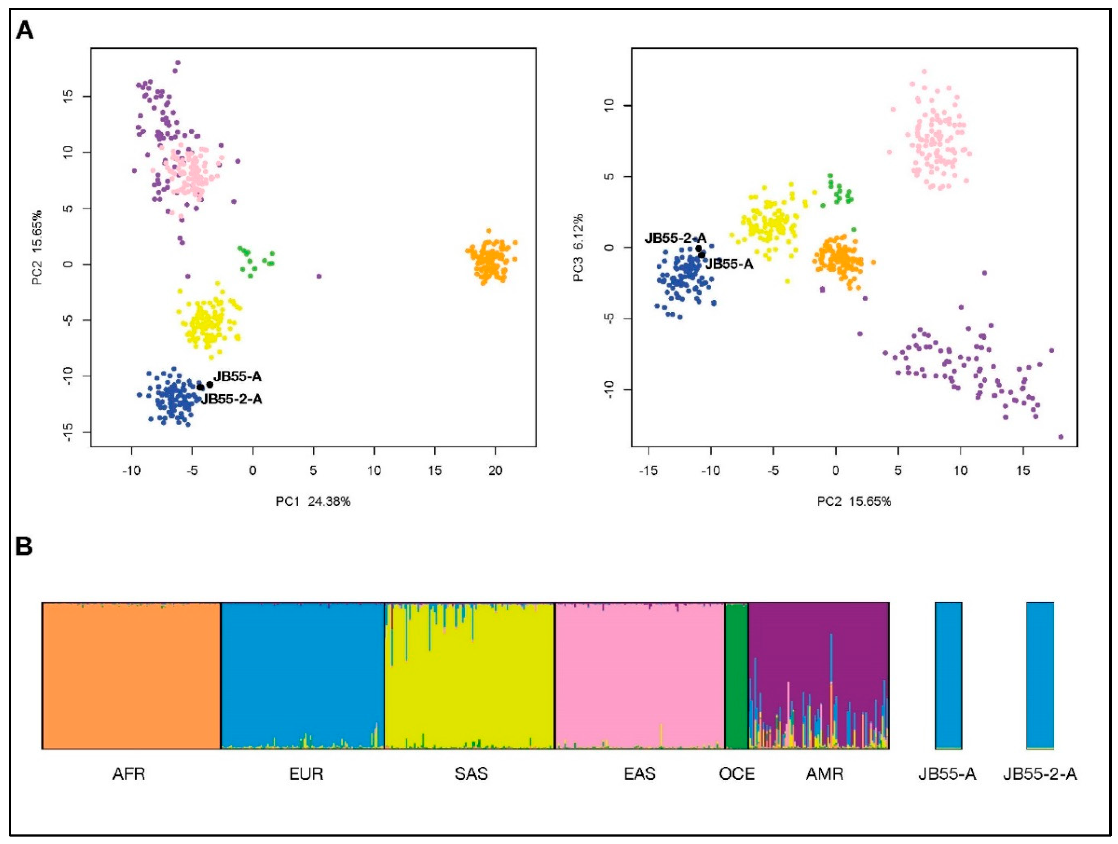 Genes 10 00636 g003 Genes 10 00636 g003