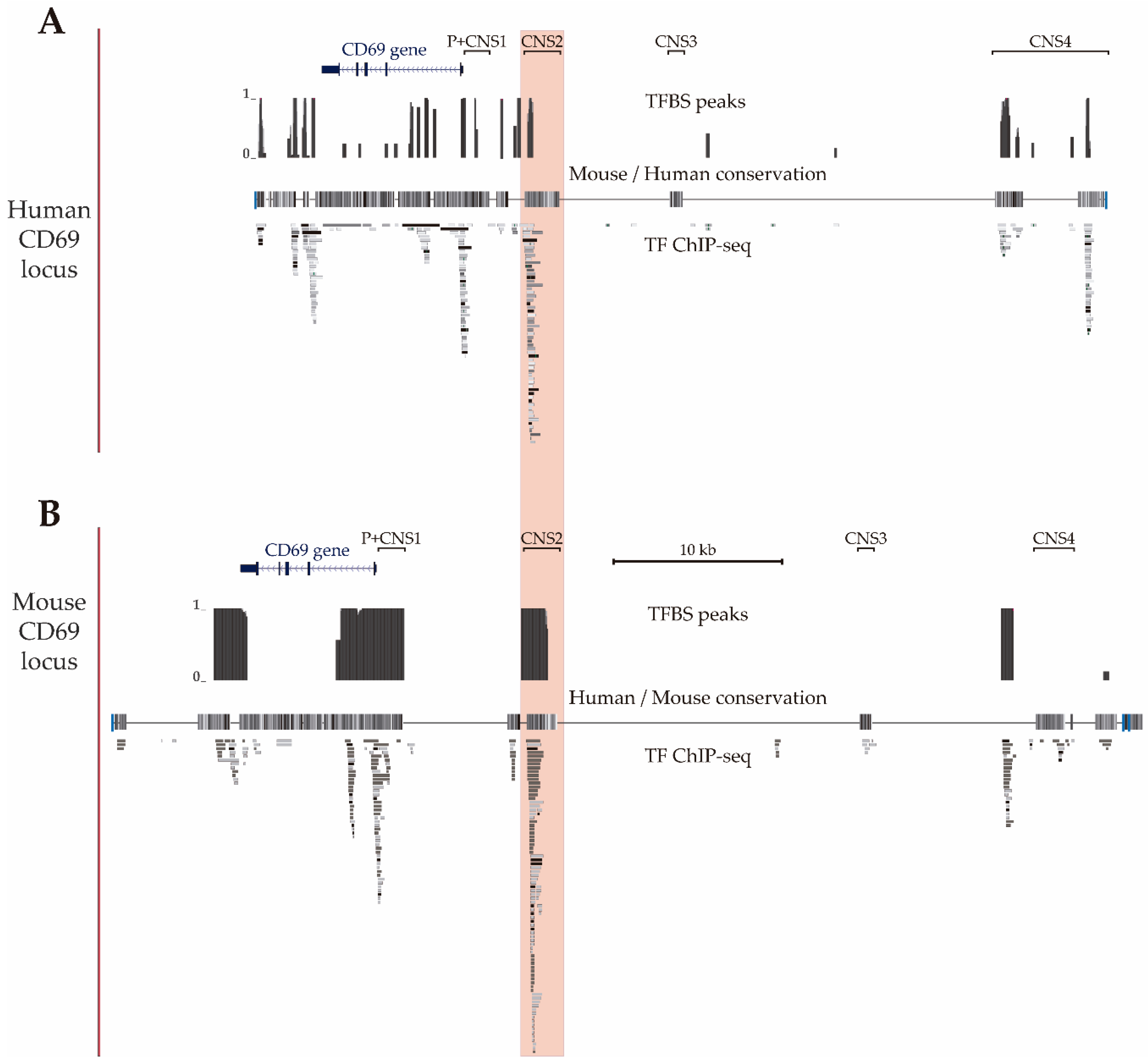Genes 10 00651 g002 Genes 10 00651 g002