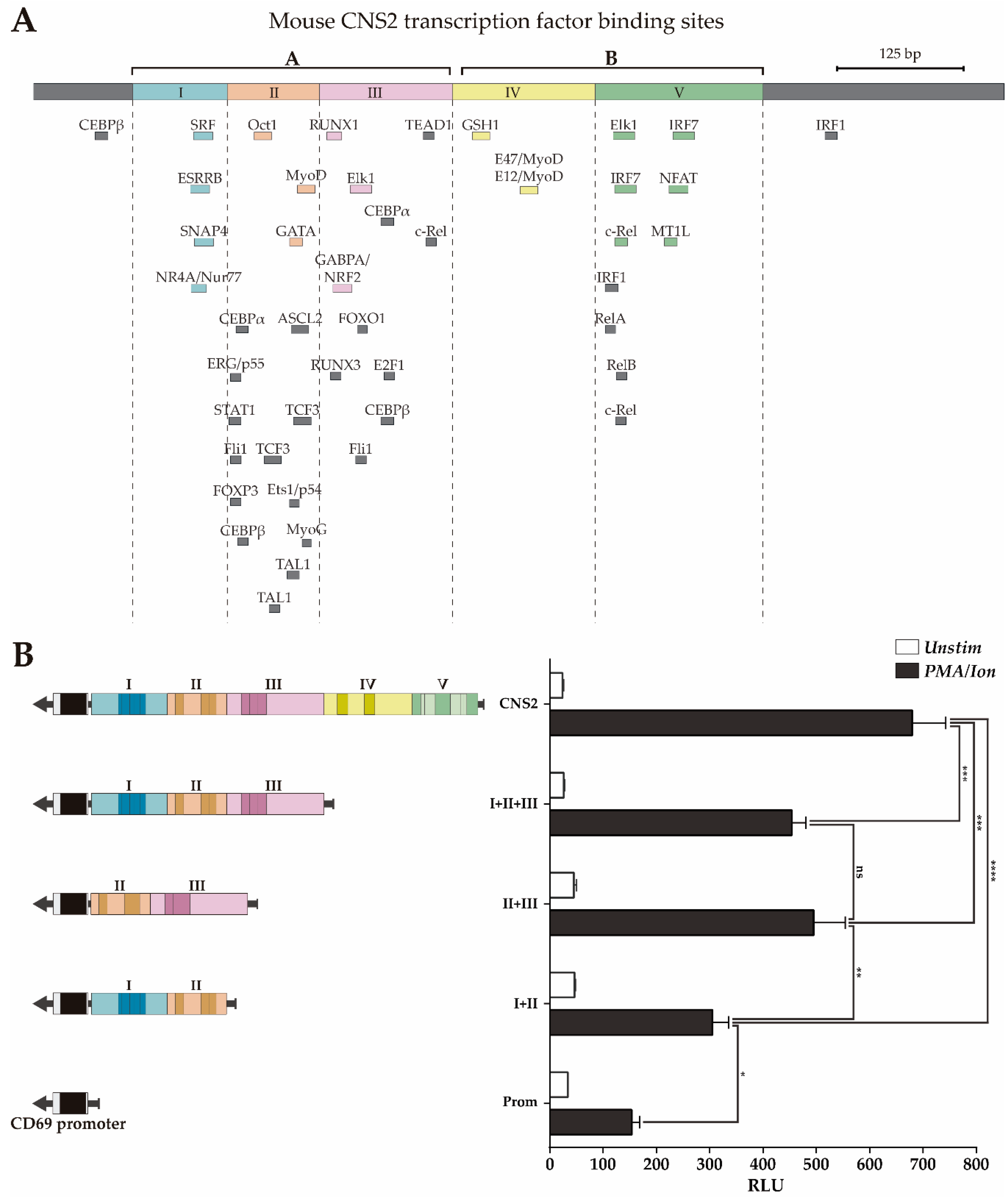 Genes 10 00651 g003 Genes 10 00651 g003