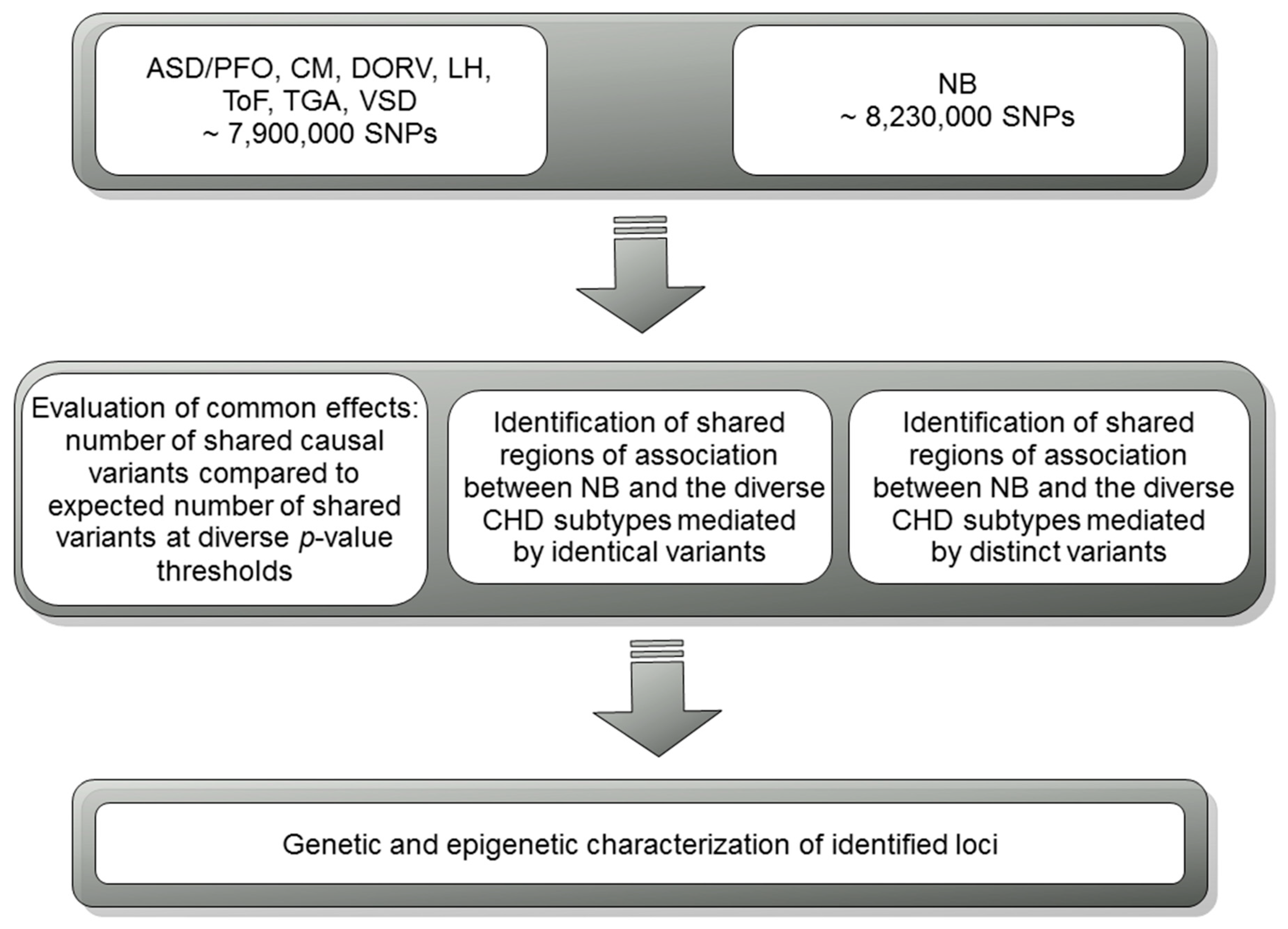 Genes 10 00663 g001