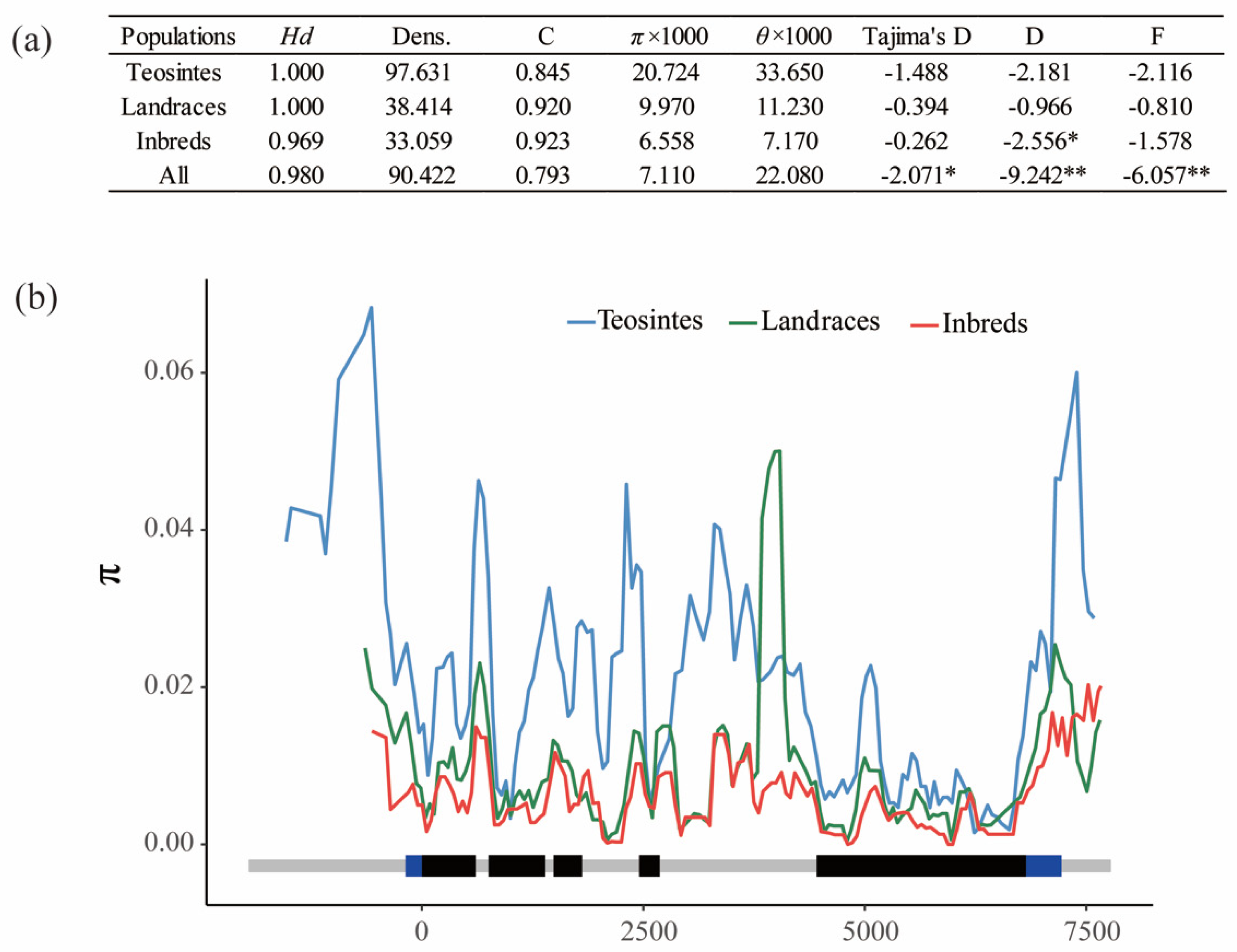 Genes 10 00664 g001